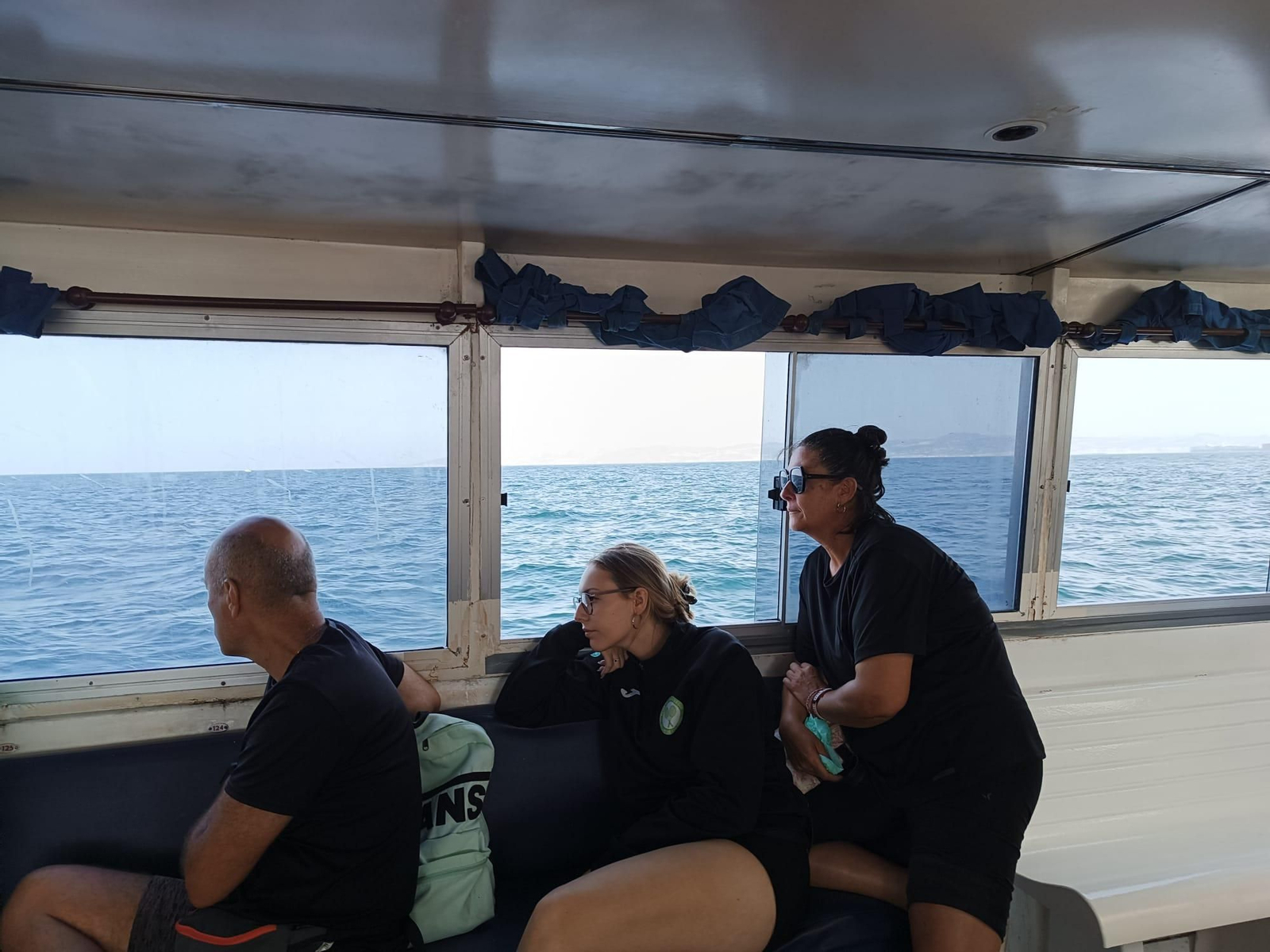 Avistamiento de cetáceos y aves por el Estrecho