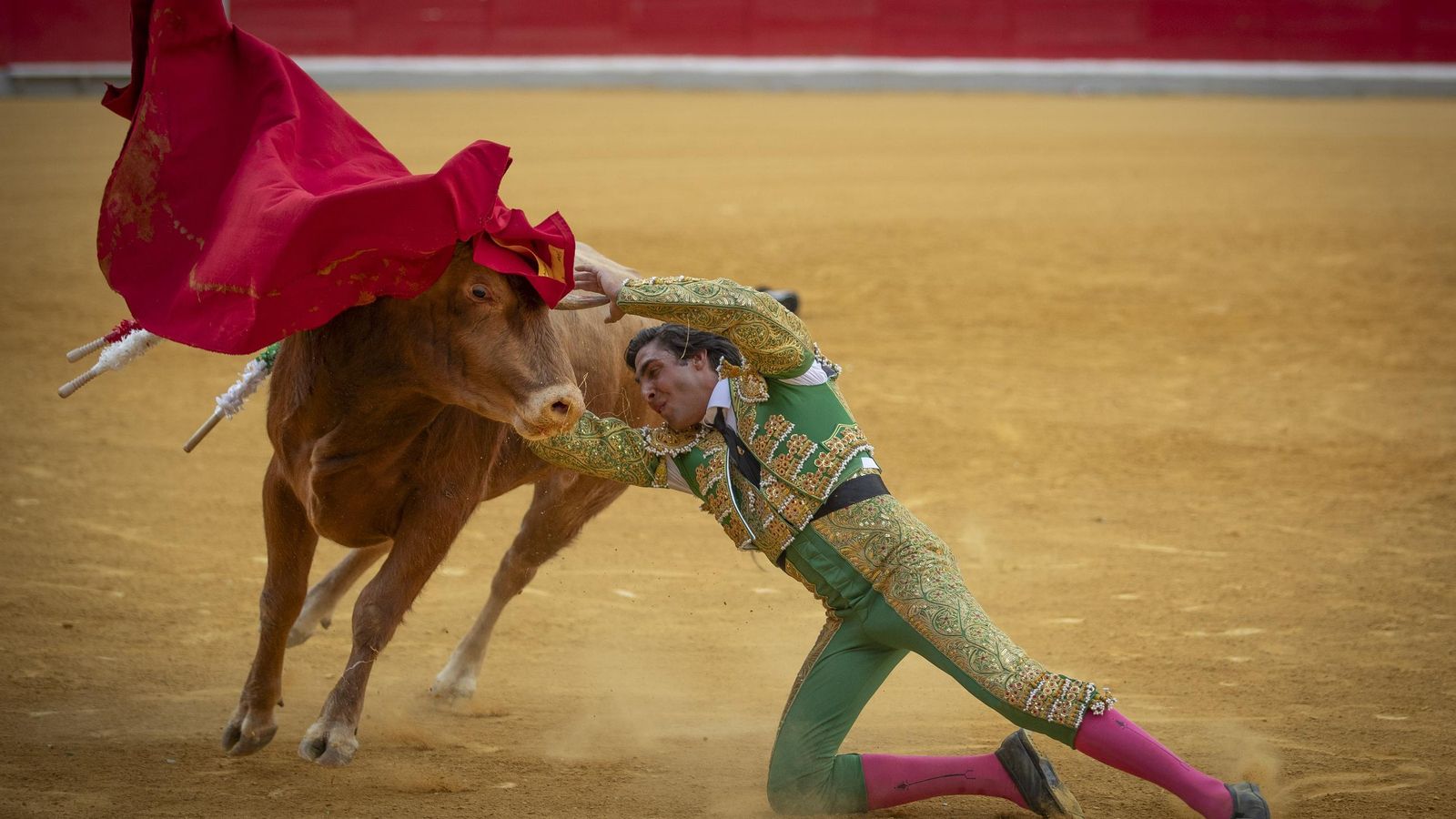 Novillada en la Plaza de Toros de Granada con motivo del miércoles de Corpus Novillada en la Plaza de Toros de Granada con motivo del miércoles de Corpus