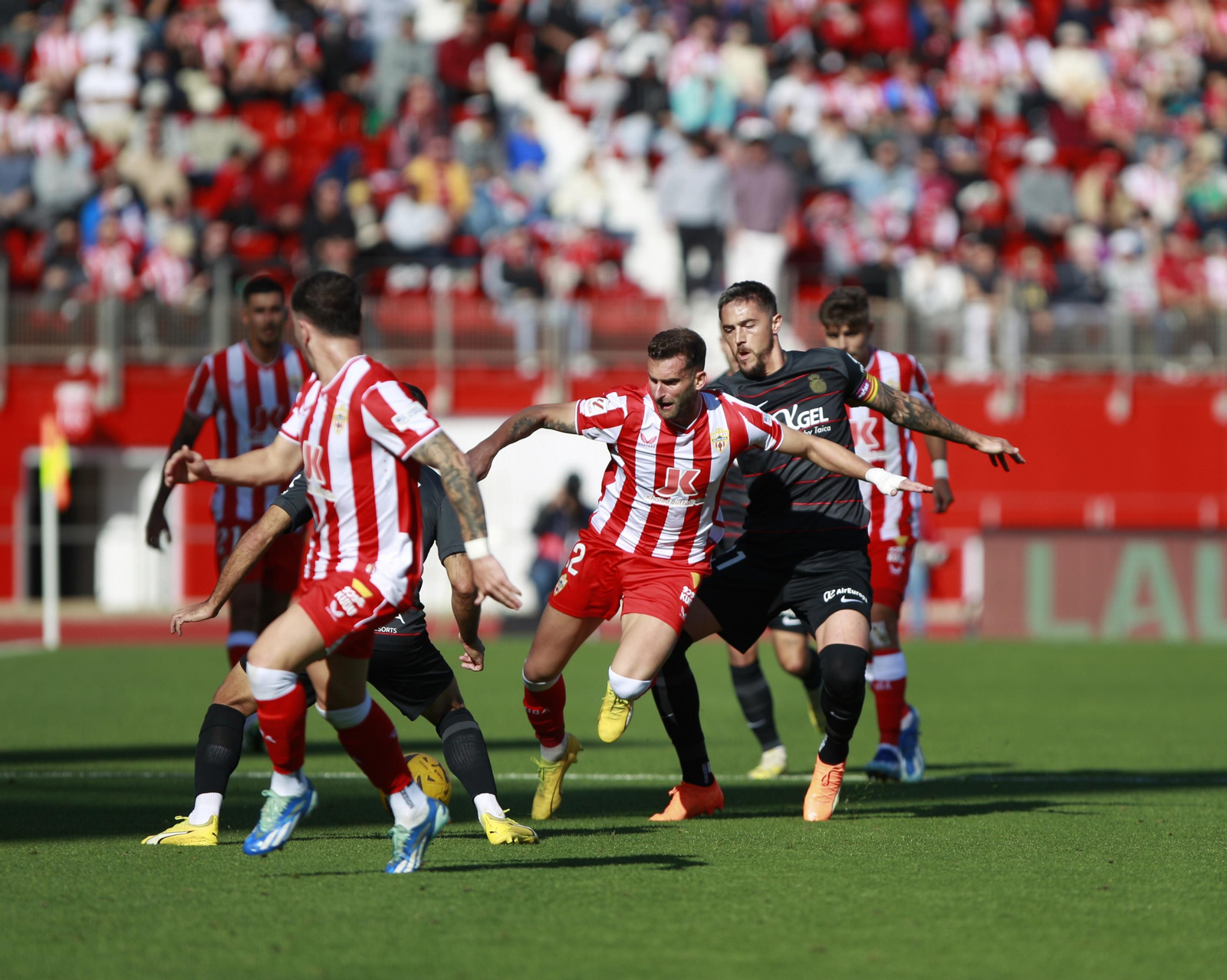 Imágenes del partido U.D. Almería-R.C.D. Mallorca