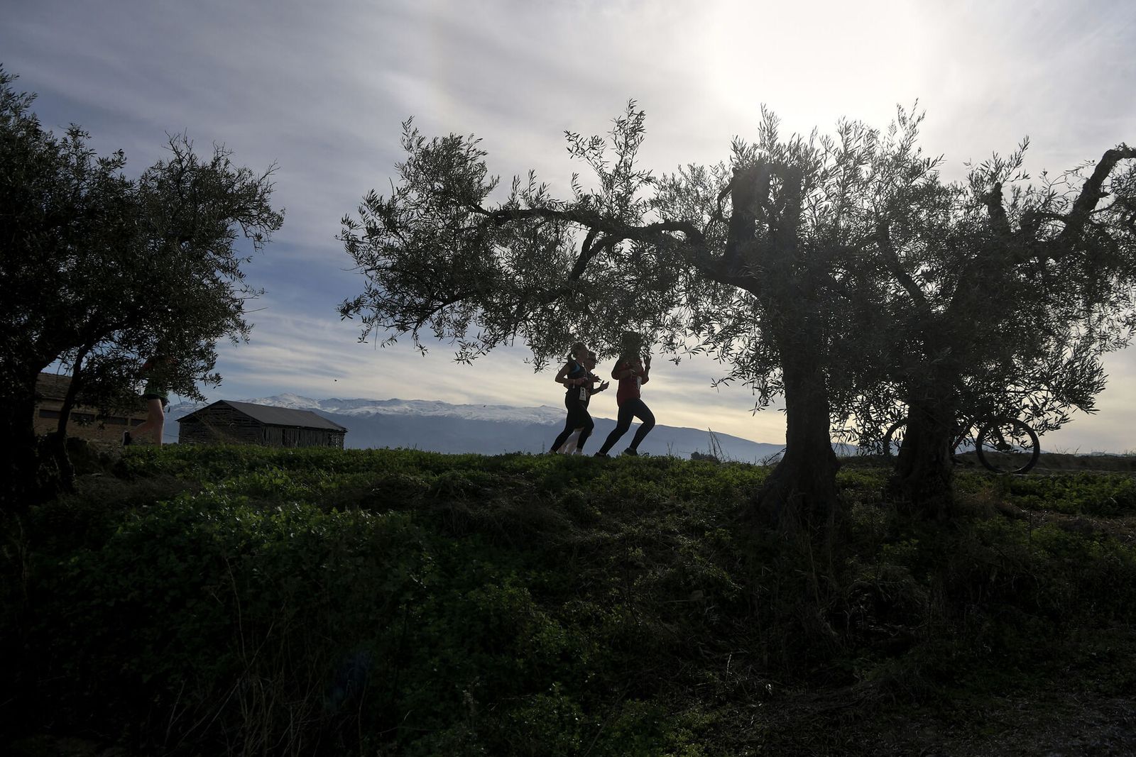 Las imágenes de la Carrera de la Ruta del Secadero de Cúllar Vega