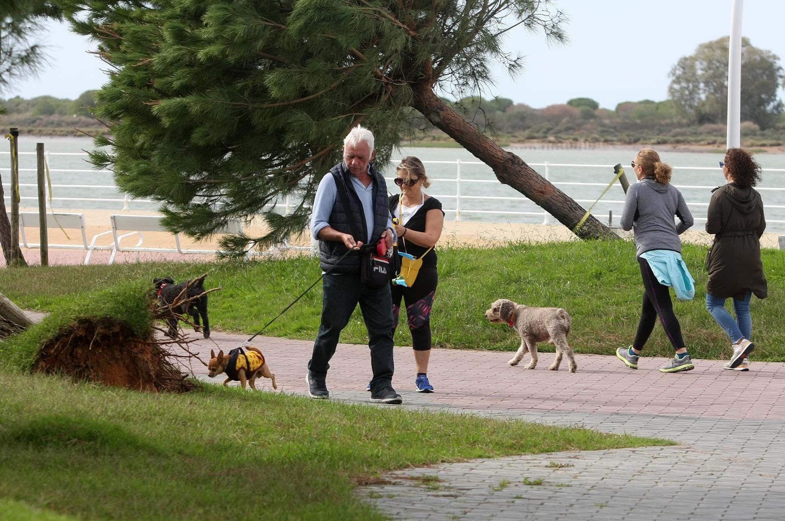 Imágenes del domingo 29 de octubre en Huelva