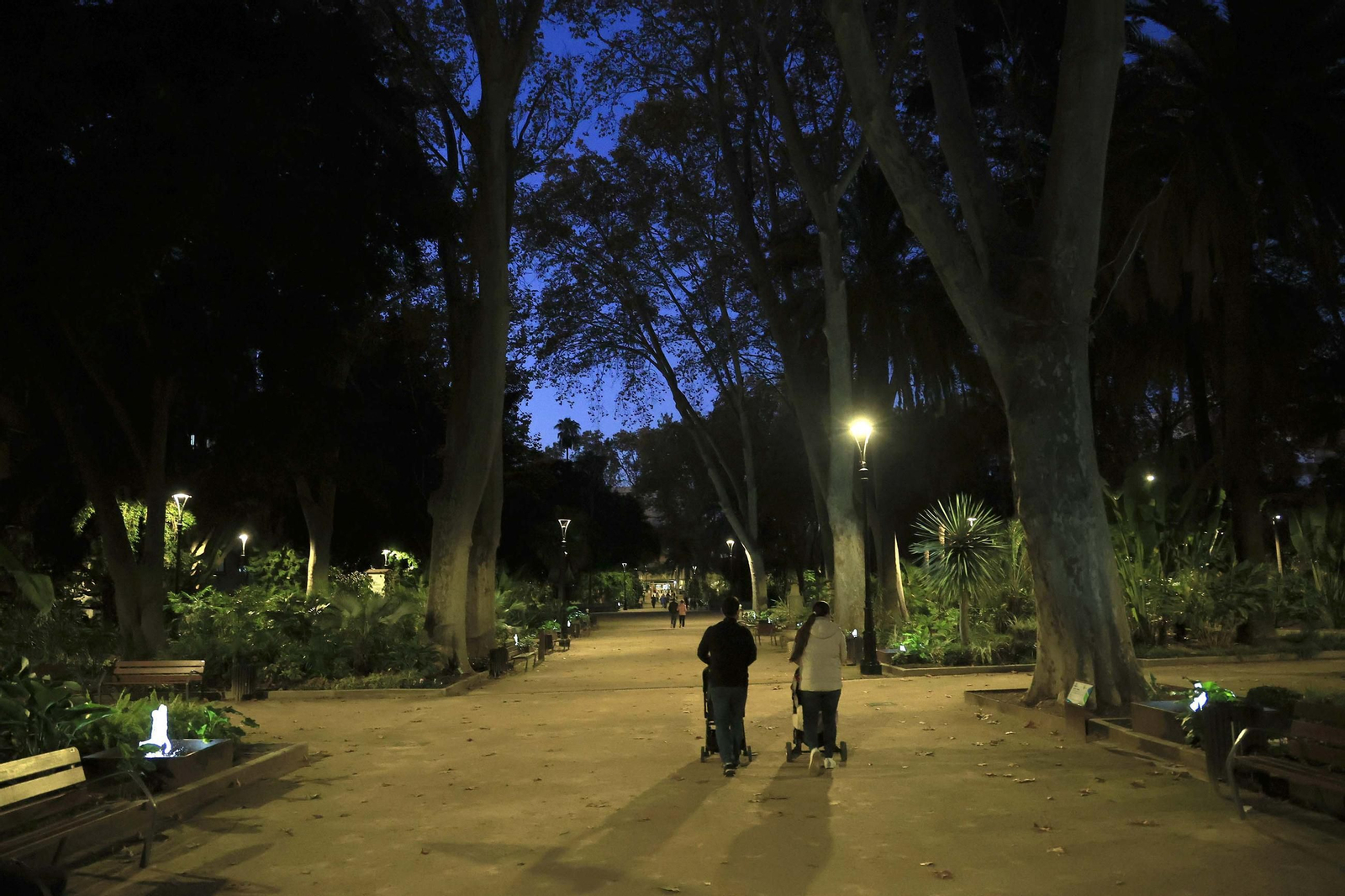 Las fotos de la Noche Especial en Algeciras