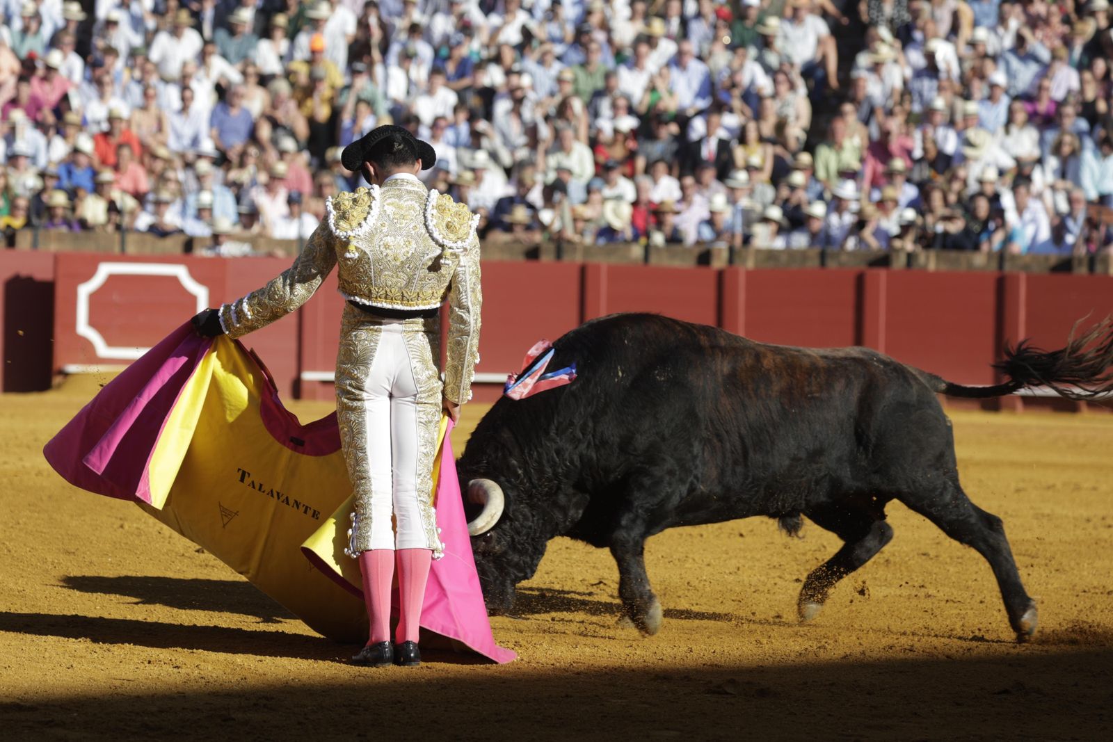 Las imágenes del festejo