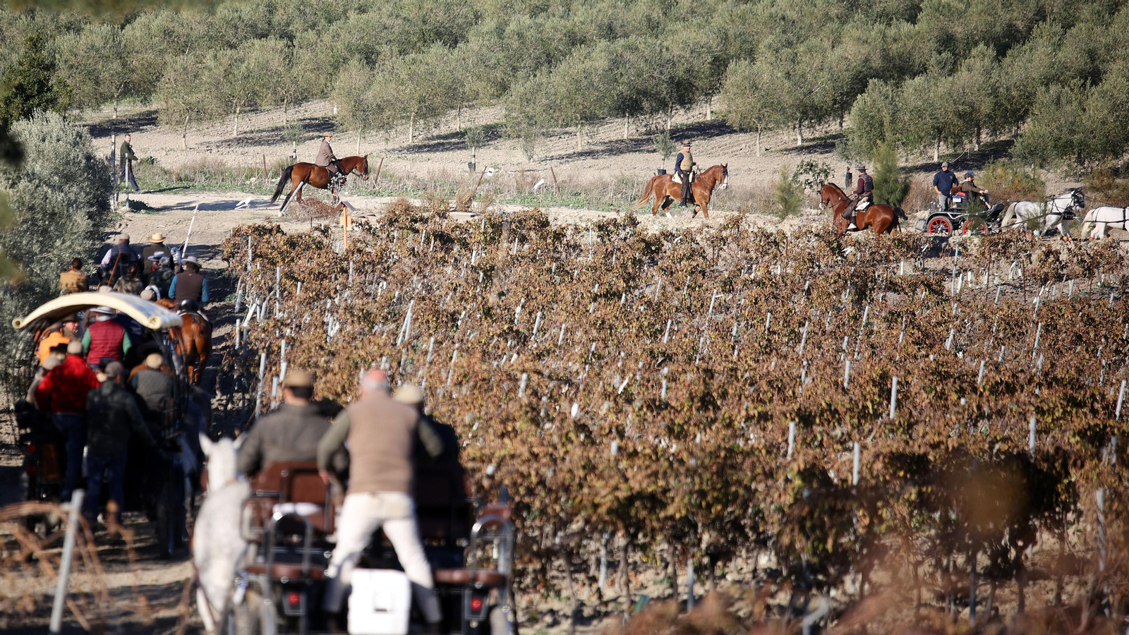 II Ruta Viñas de Jerez