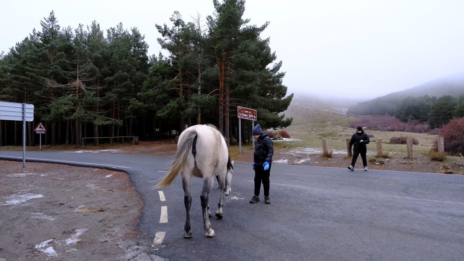 Así está el Puerto de La Ragua, la 'otra' Sierra Nevada