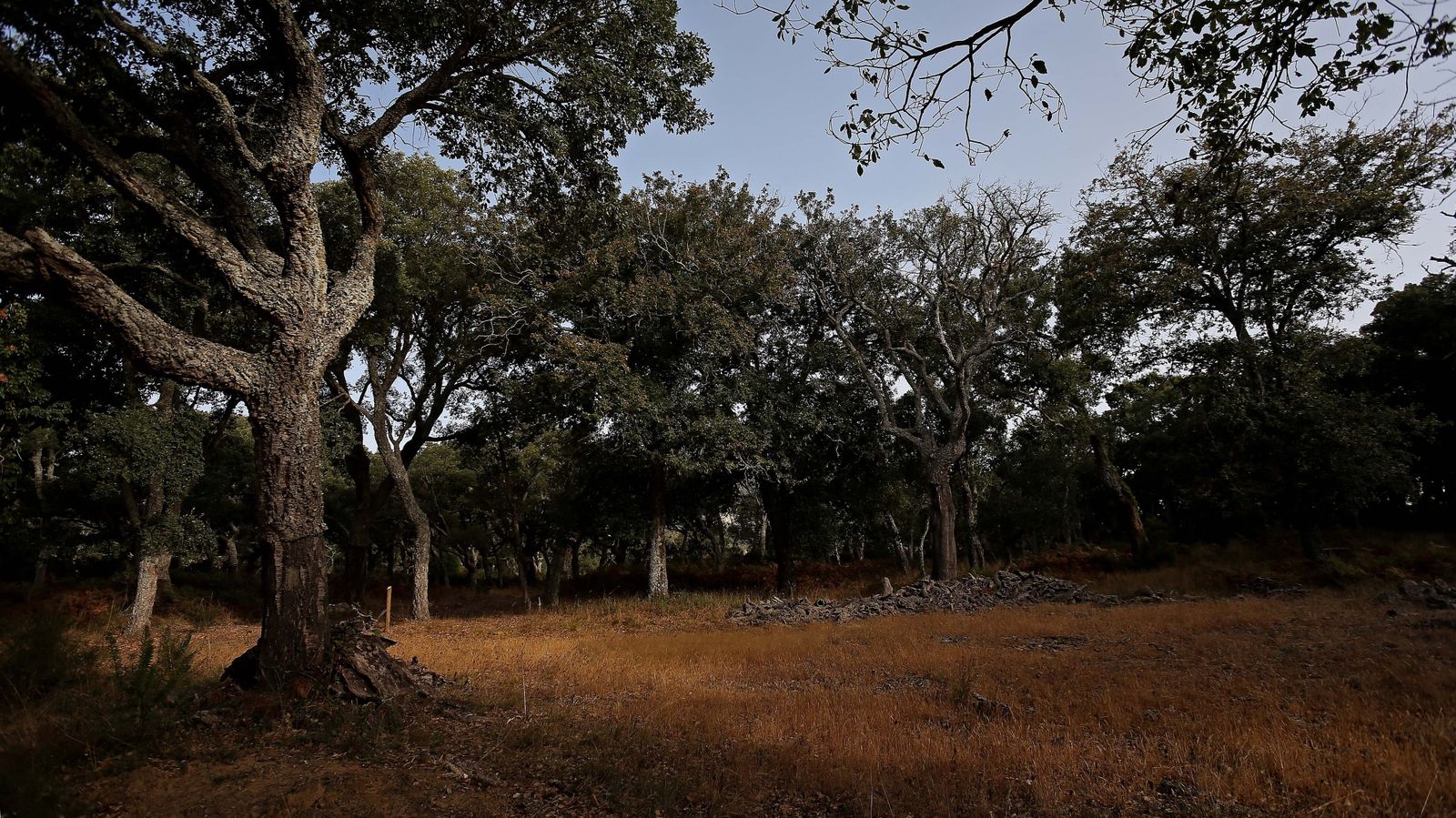 Las mejores fotos de San Carlos del Tiradero
