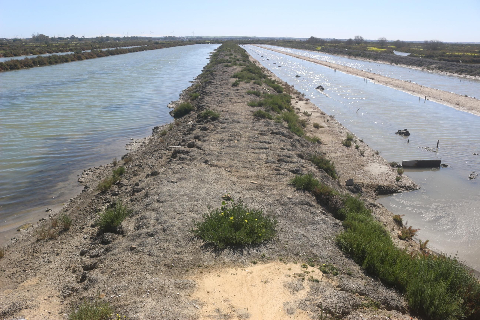 Chefs for children en Balbanera