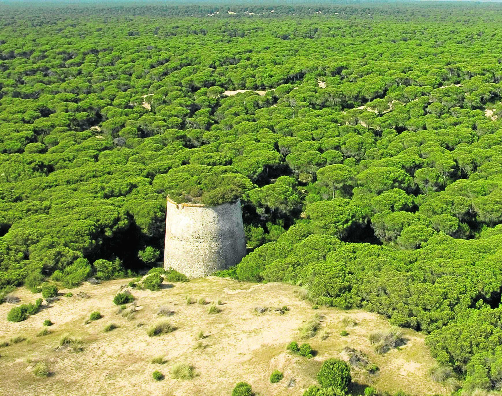 Antigua torre en Punta Malandar, donde se produjo el alijo en septiembre.