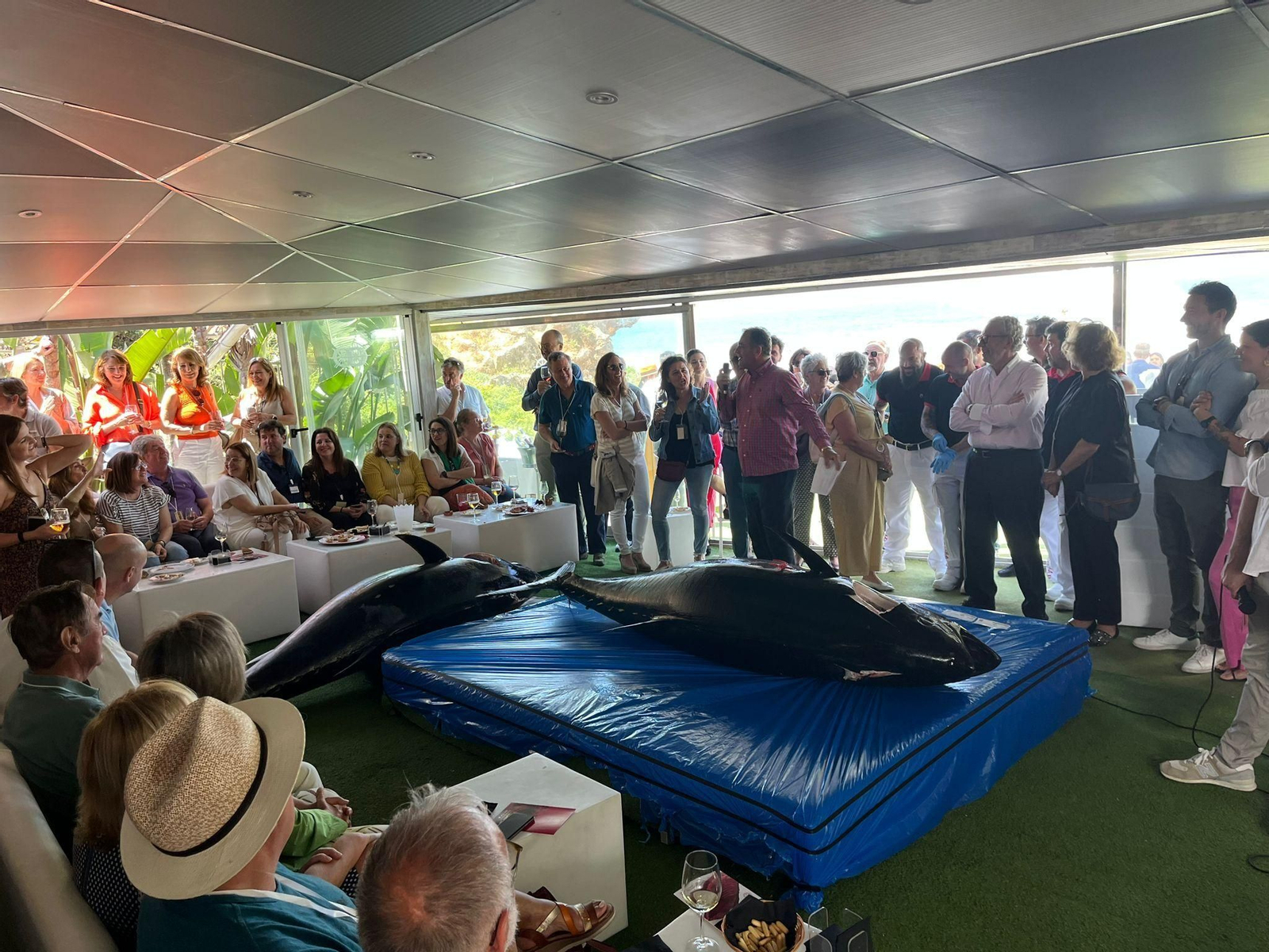 Un momento del ronqueo celebrado este domingo en El Timón de Roche.