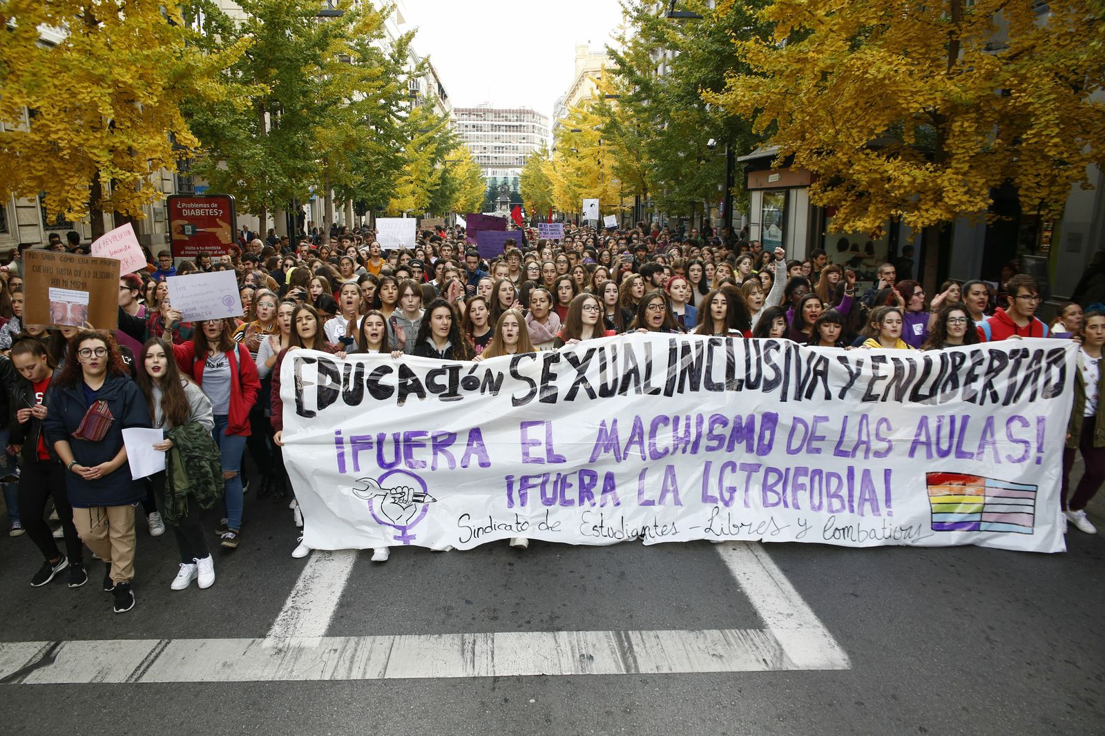 Una pancarta que pide educación sexual en las aulas