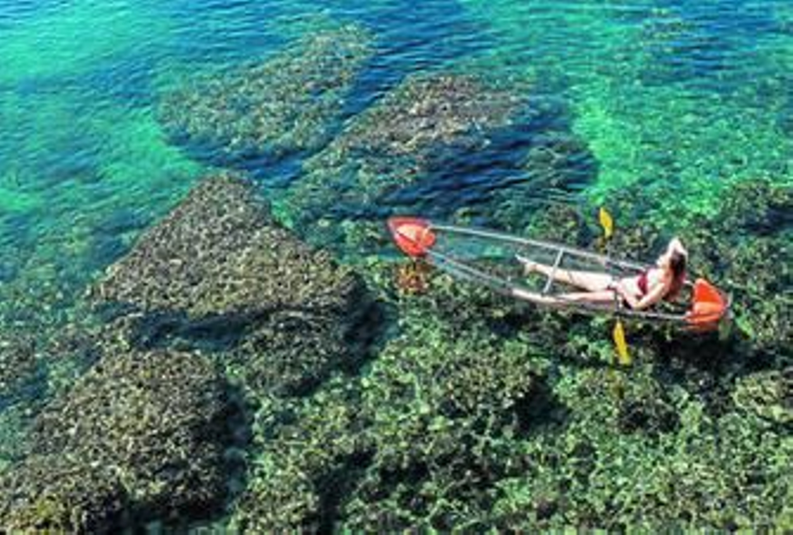 Ver los fondos marinos en piraguas transparentes