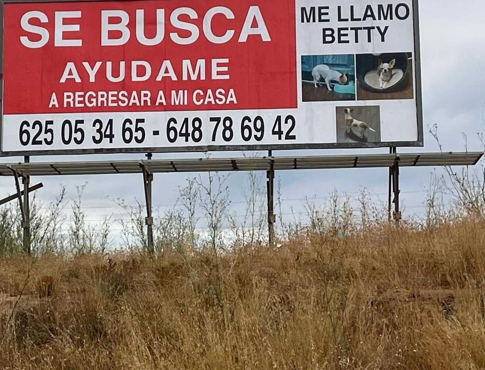 La valla publicitaria para encontrar a Betty