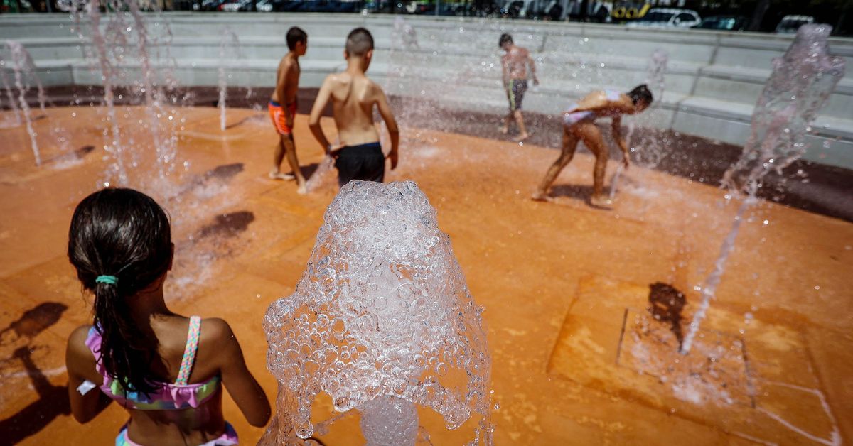 Jerez records high temperatures and four heatwaves through summer - News Directory 3