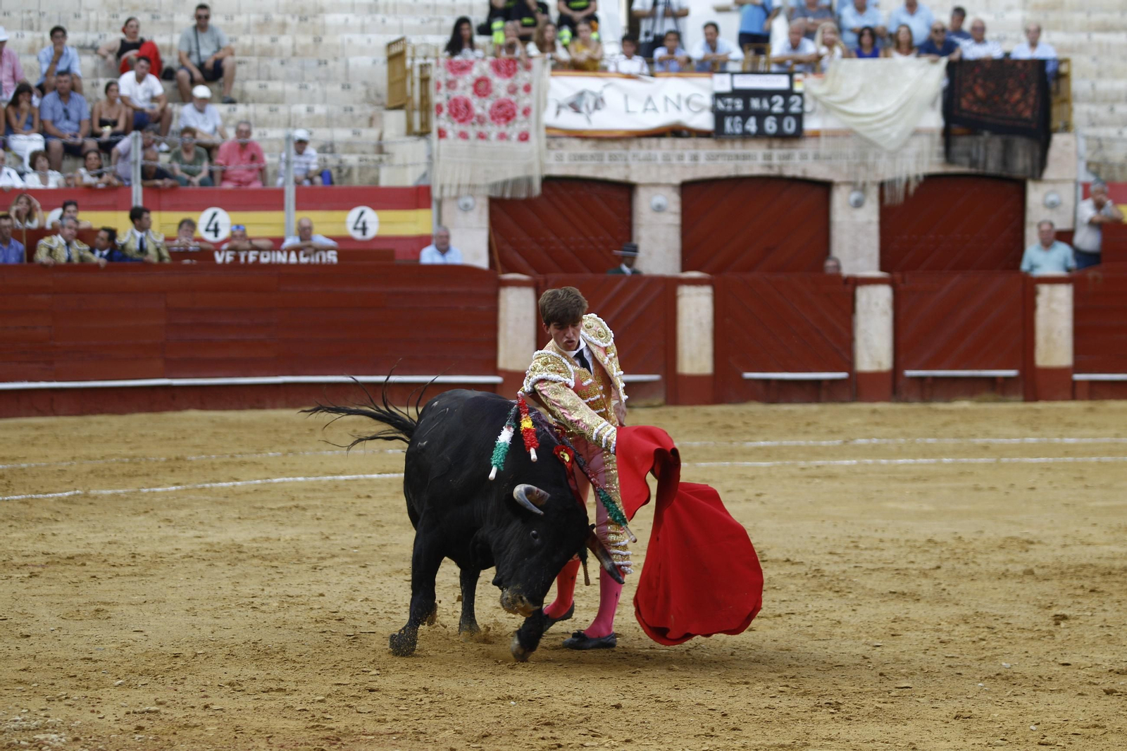 Imágenes de la novillada de la Feria de Almería 2025