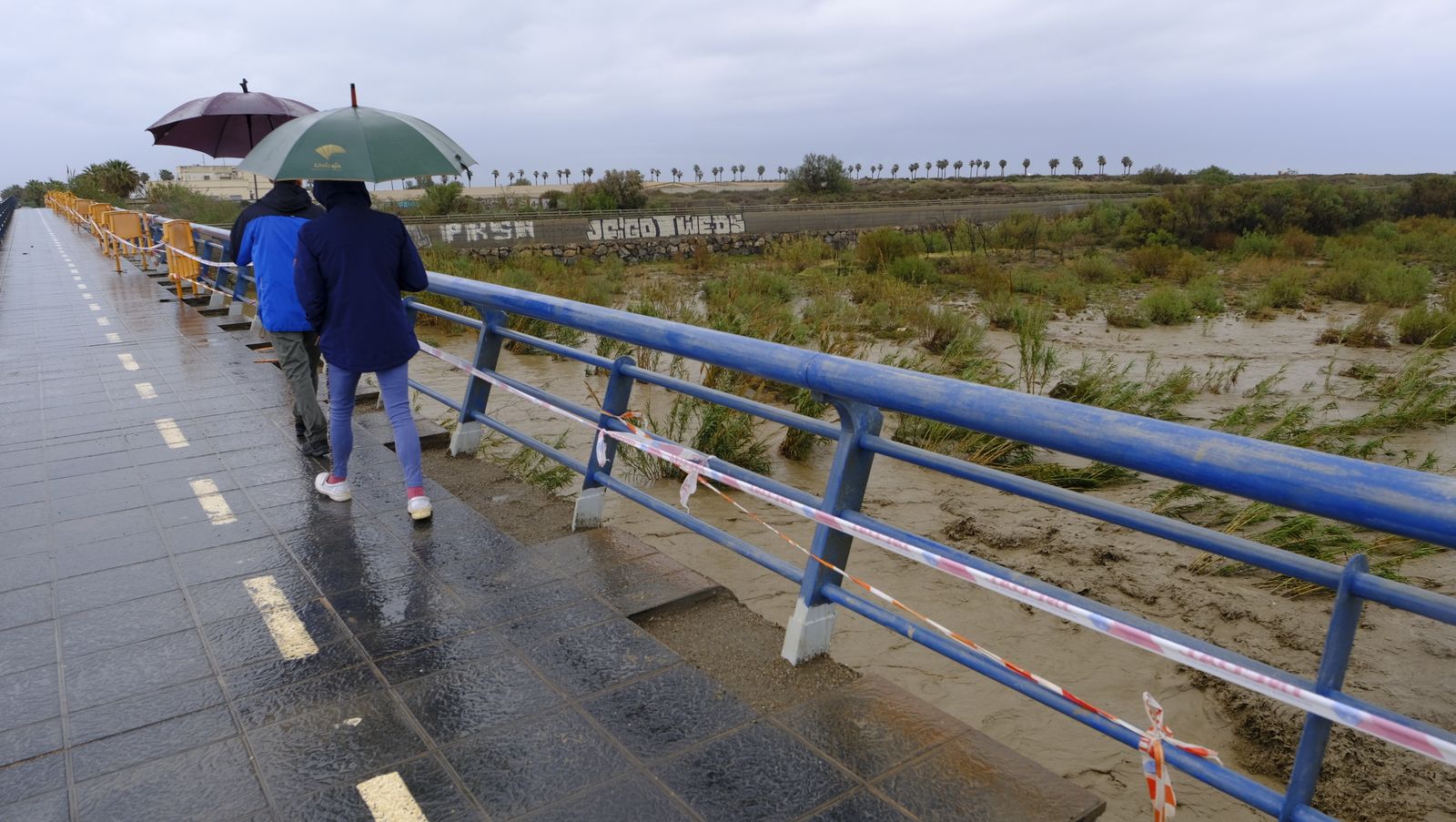 Fotogalería de las lluvias torrenciales en Almería