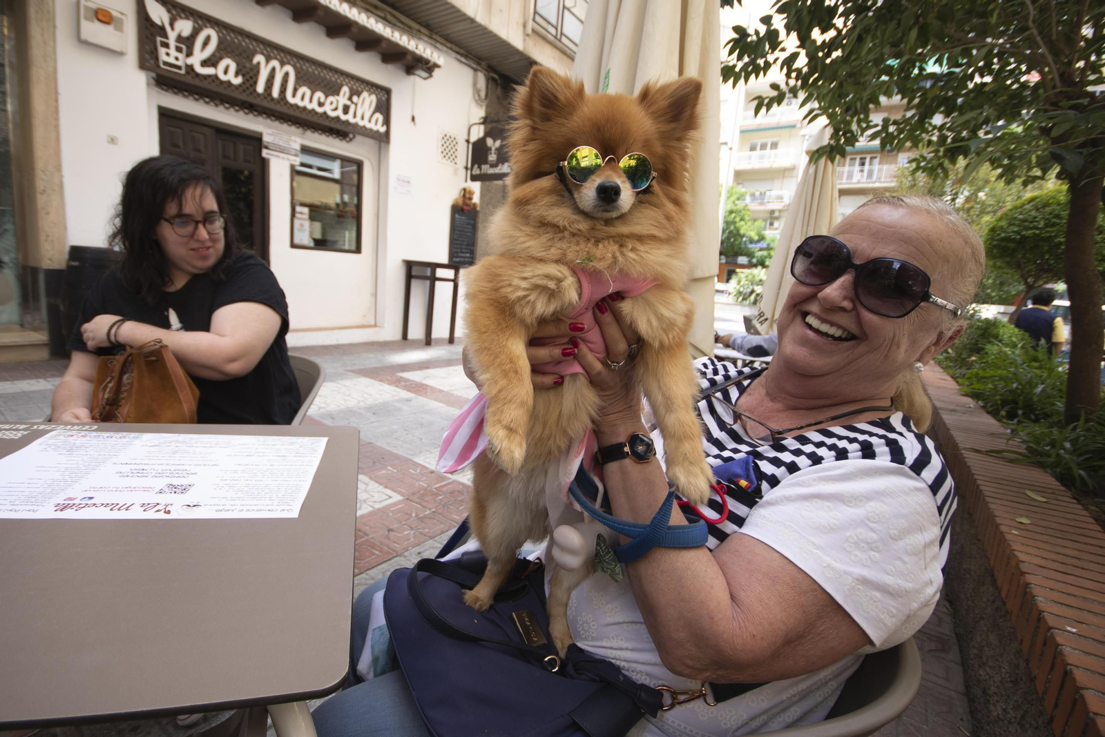 Una mujer bromea con su perro en una terraza de Granada Una mujer bromea con su perro en una terraza de Granada