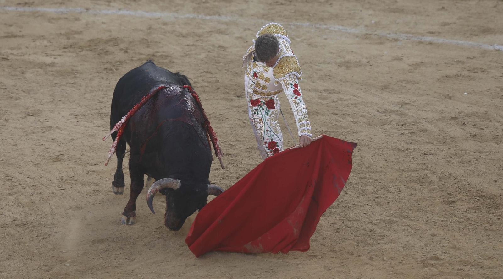 Fotos de la encerrona de Manuel Escribano en Tarifa
