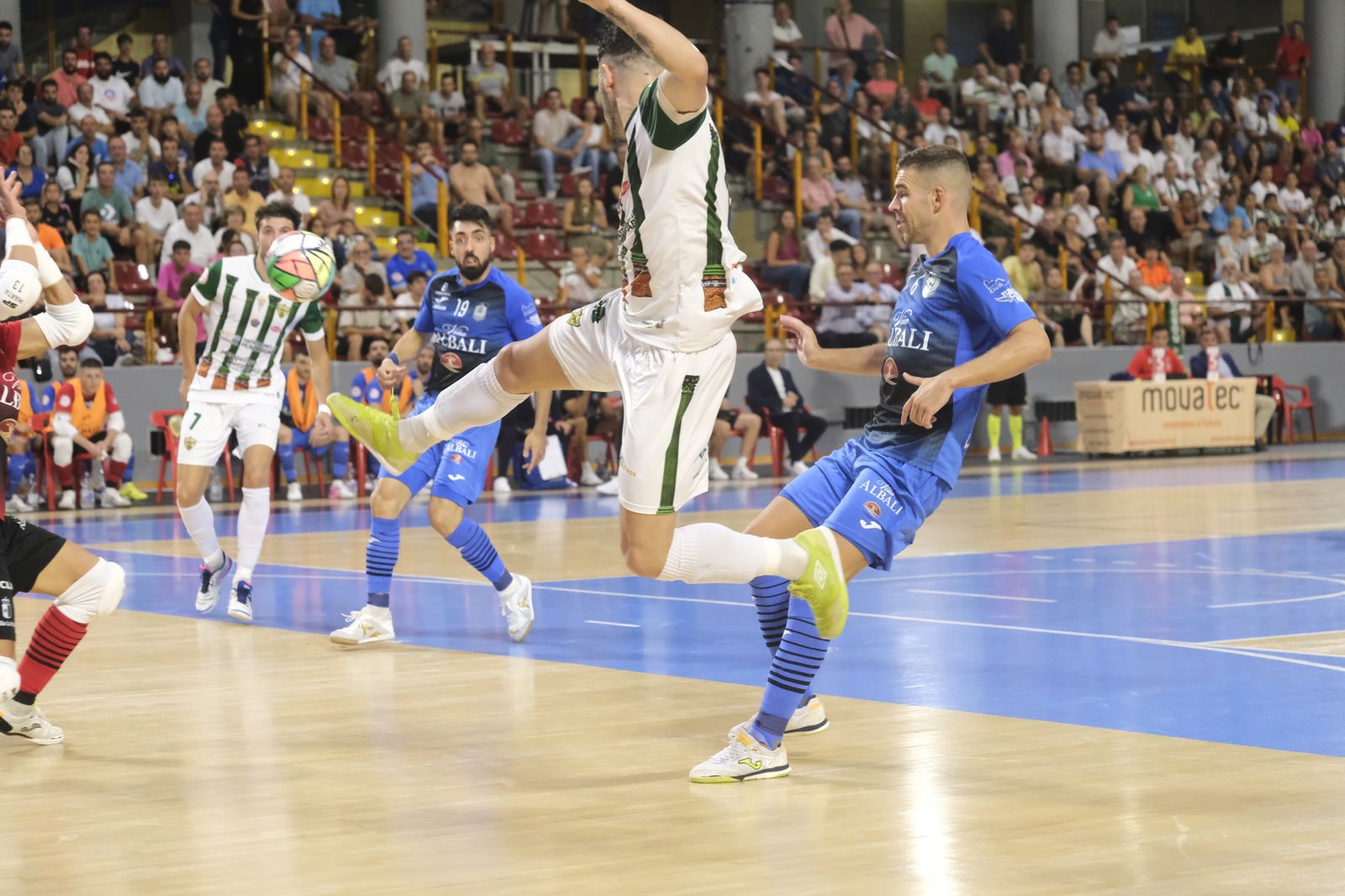La victoria del Córdoba Futsal ante el Viña Albali Valdepeñas, en imágenes