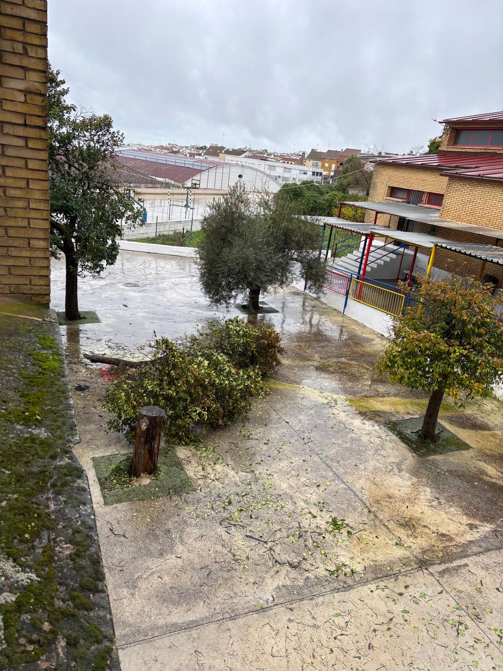 Colegio Carmen Romero de La Rambla