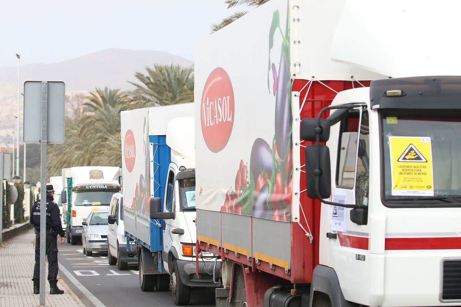 Fotogalería de la manifestación de agricultores