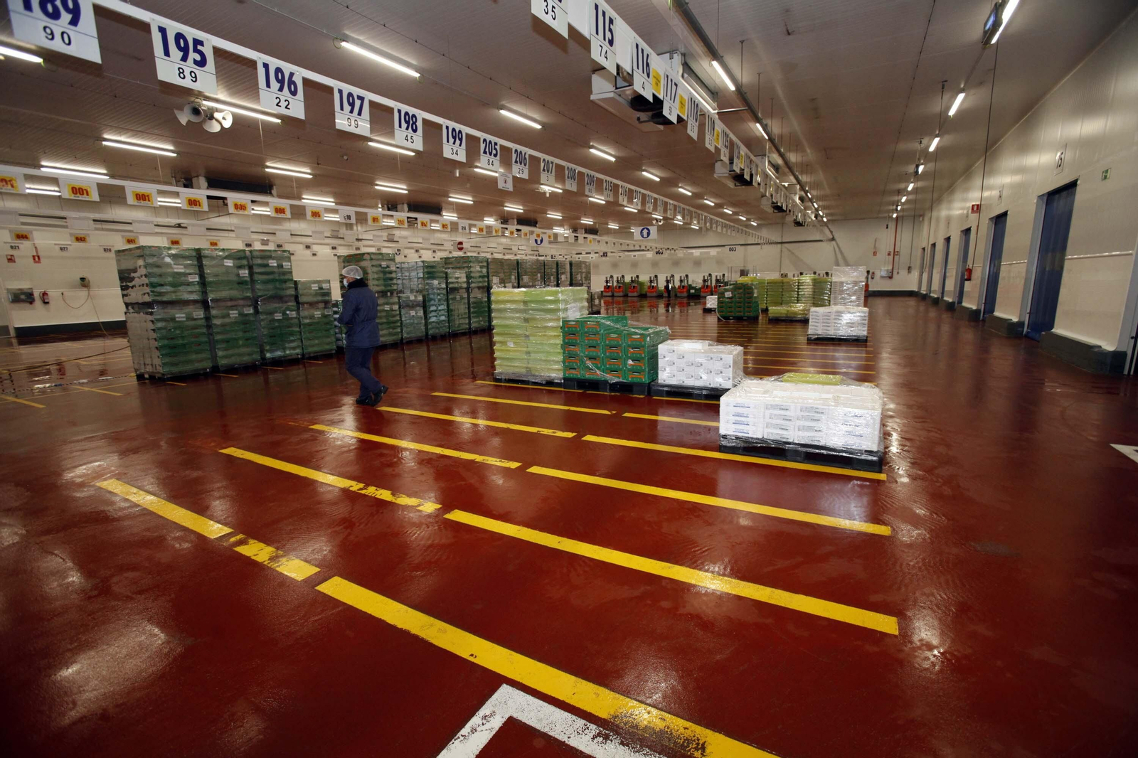 Imágenes del trabajo en la central logística de Mercadona