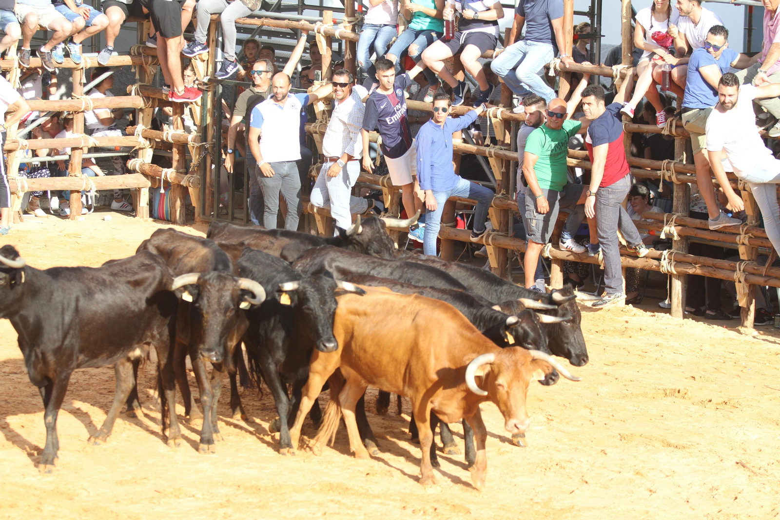 Comienzan las capeas en San Juan del Puerto