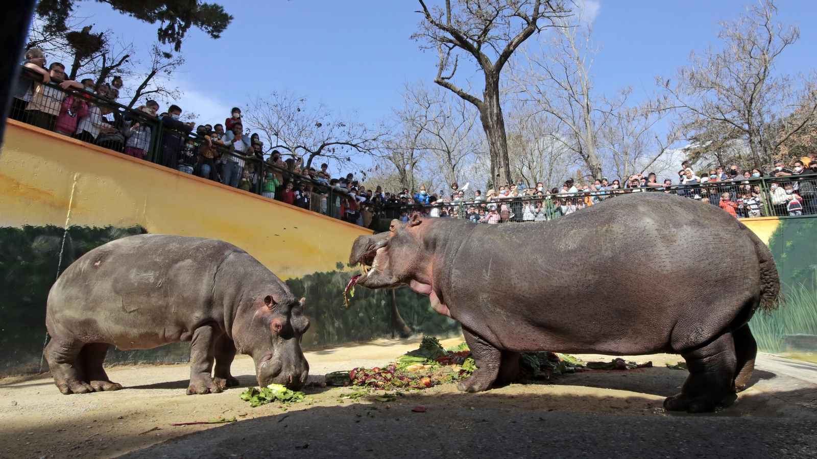 69 aniversario del Zoo de Jerez
