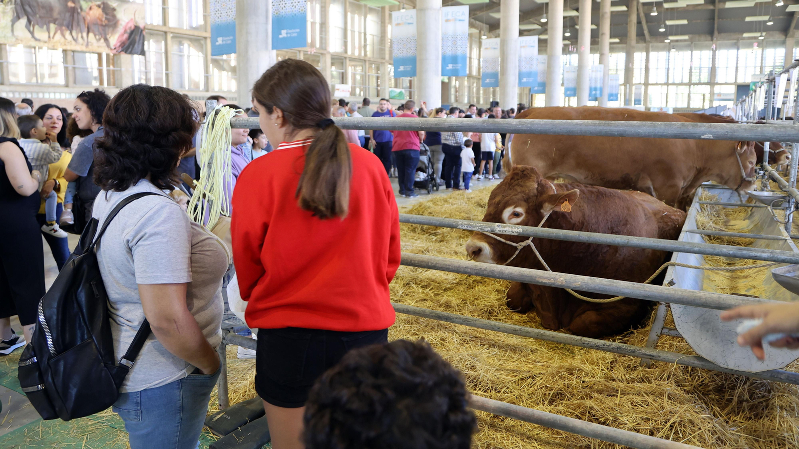Gran afluencia de público en la clausura de Fegasur