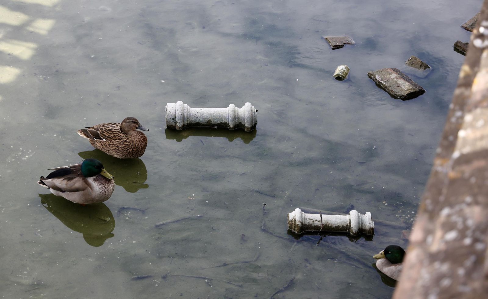 Vaciado de la ría de la Plaza de España para su liemza y restauración