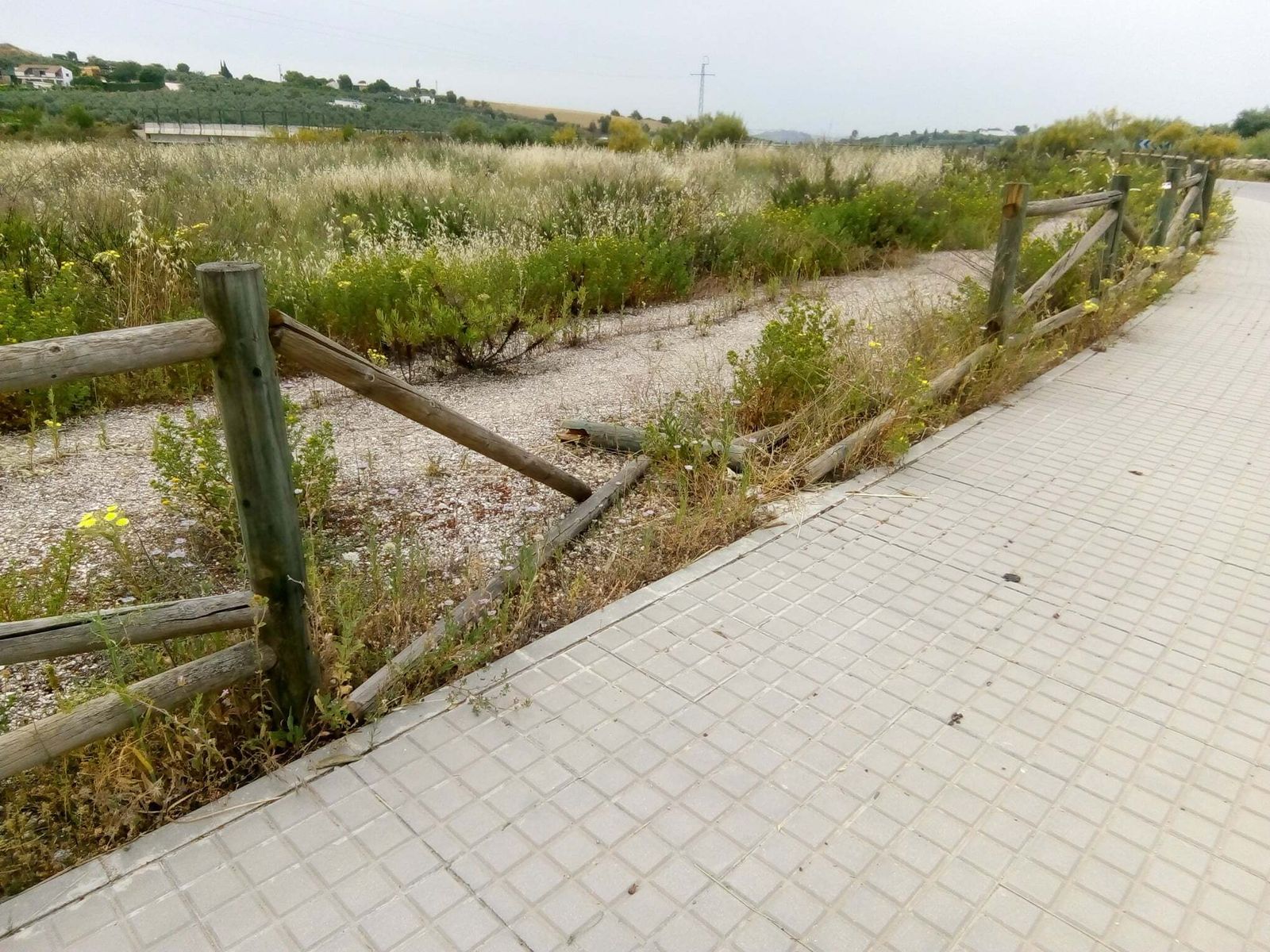 Destrozos en la calle Jaén de Montilla.
