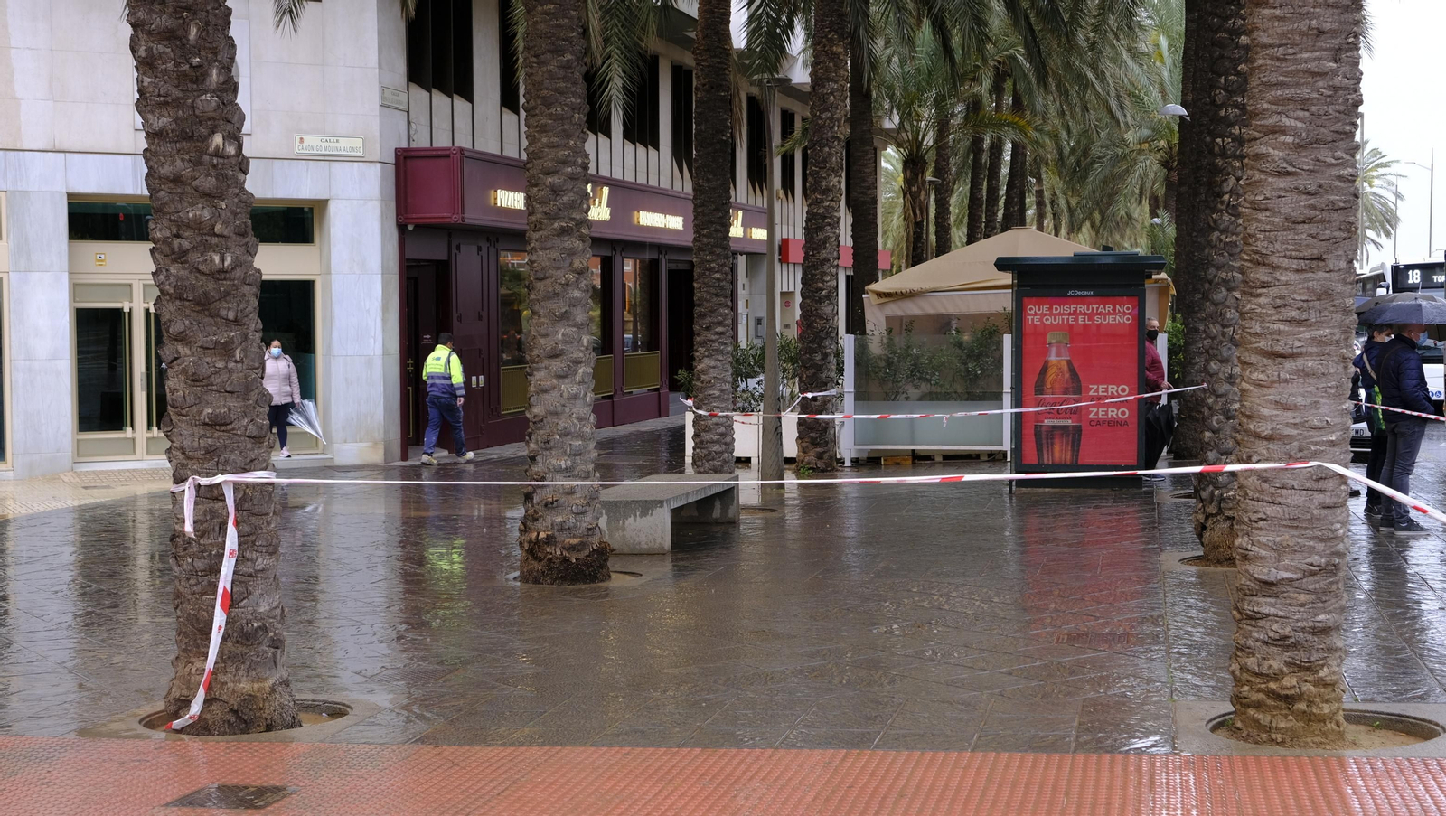 Imágenes de la acotación de palmeras. Almería