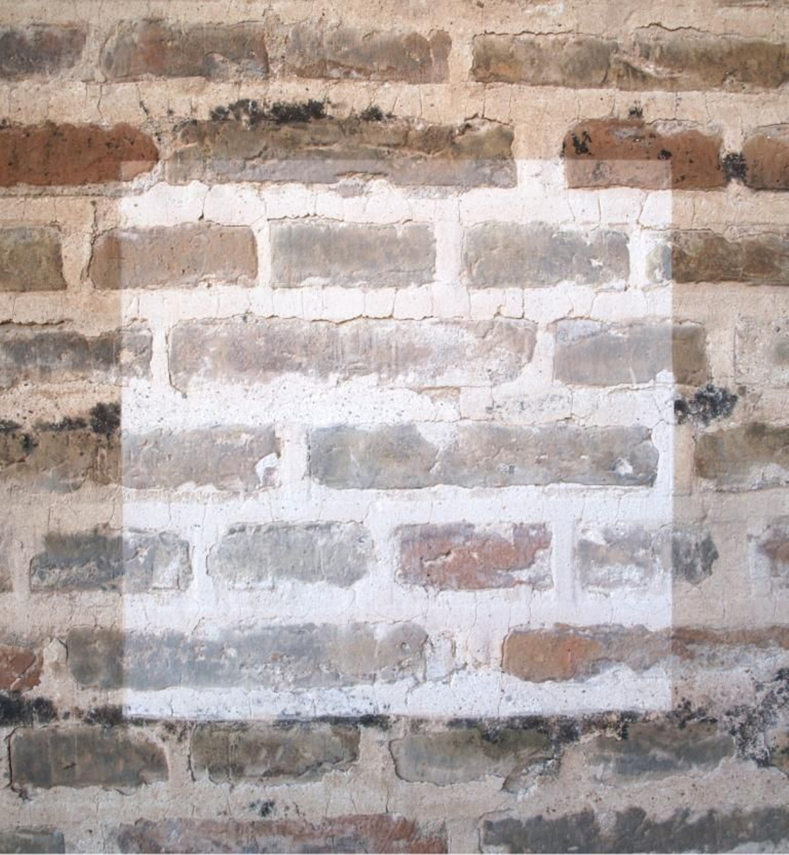 Trabajos de restauración en la Catedral.