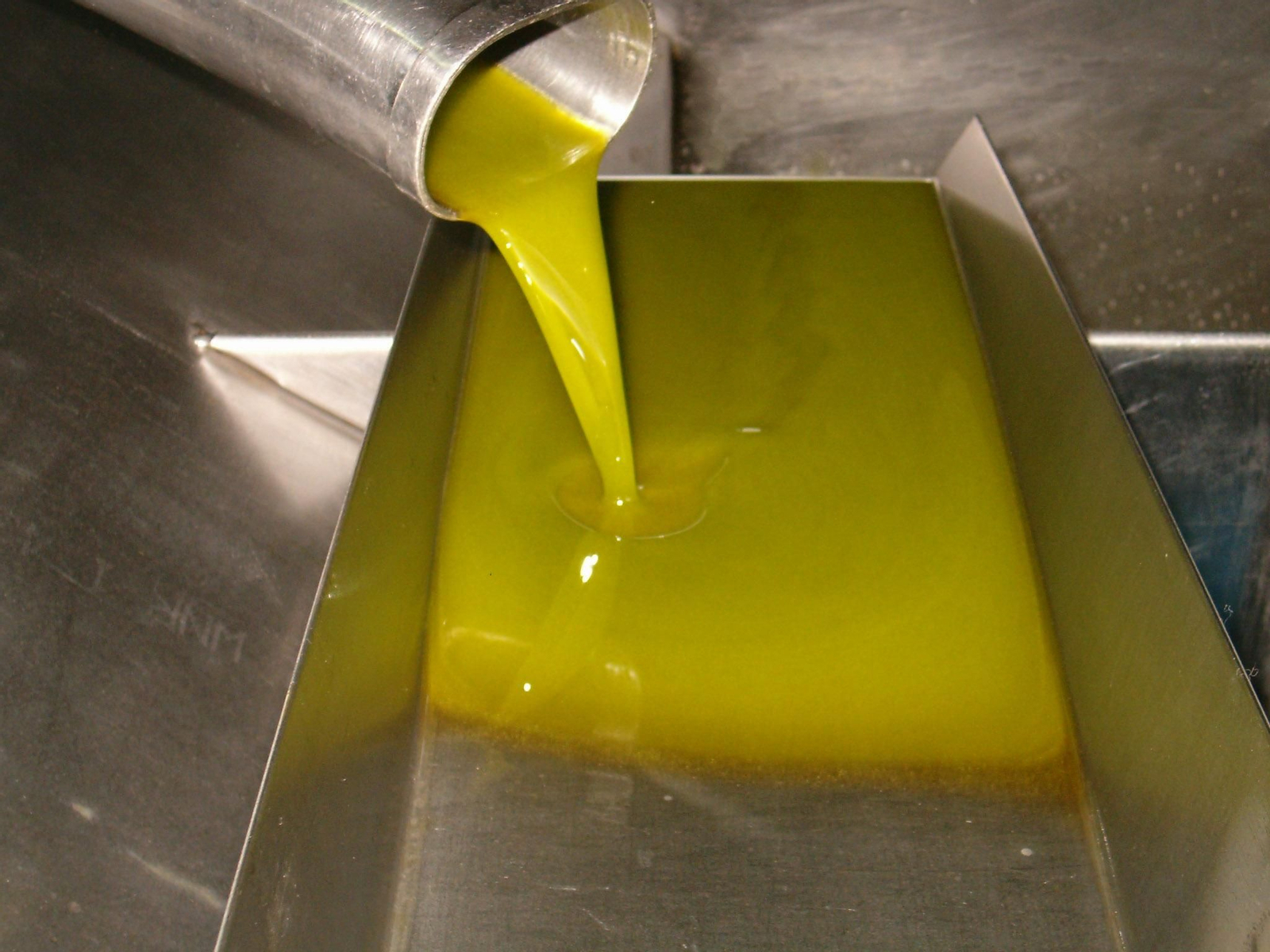 Aceite de oliva en una almazara,
