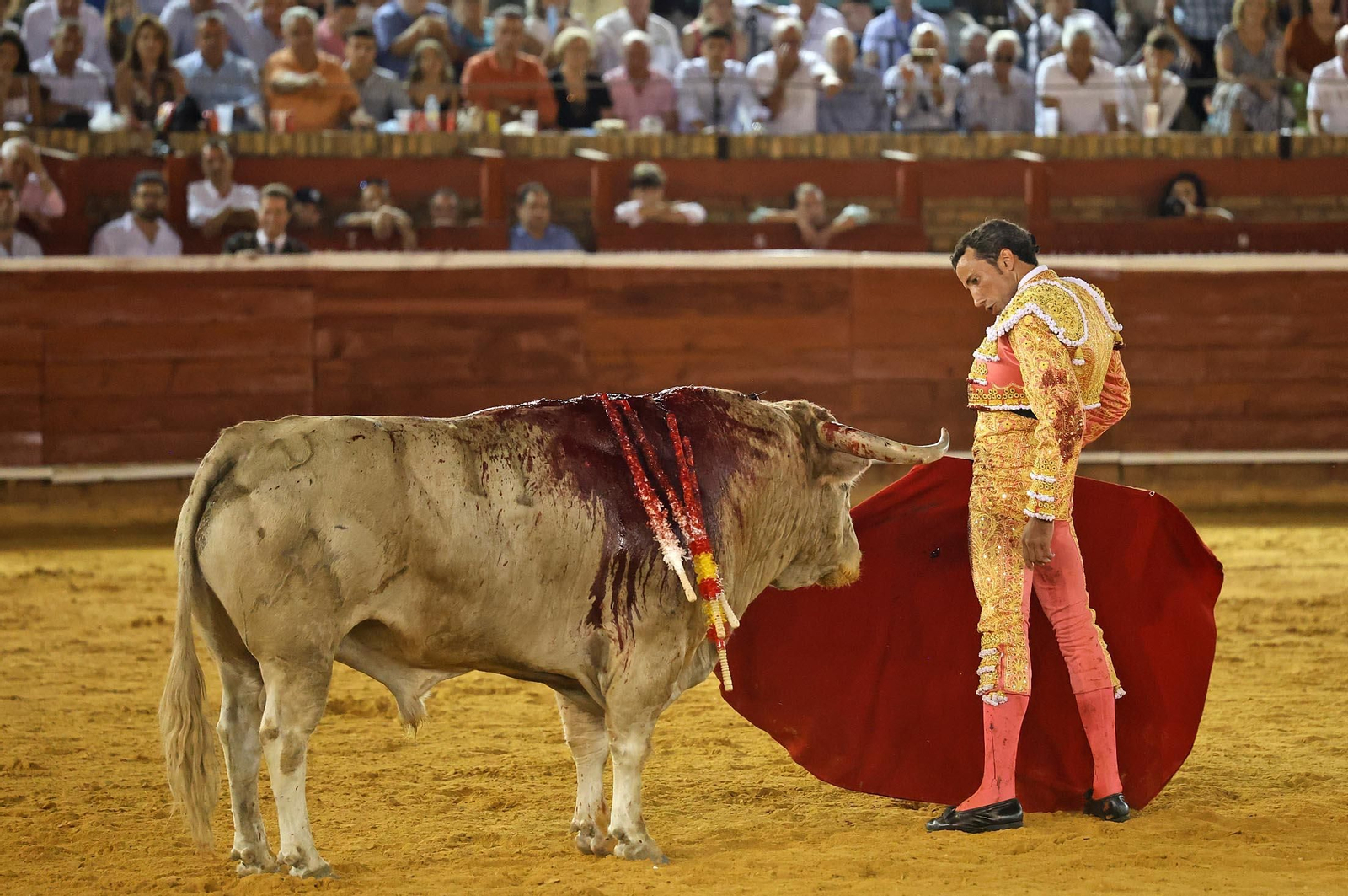 Toros La Merced: Imágenes de la corrida de David de Miranda, Roca Rey y Manzanare