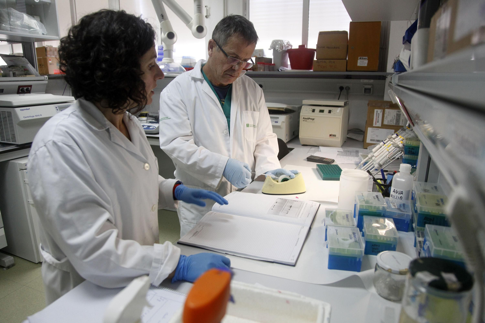 Dos investigadores del Infapa trabajando en los laboratorios del centro Agua del Pino de El Rompido. Dos investigadores del Infapa trabajando en los laboratorios del centro Agua del Pino de El Rompido.