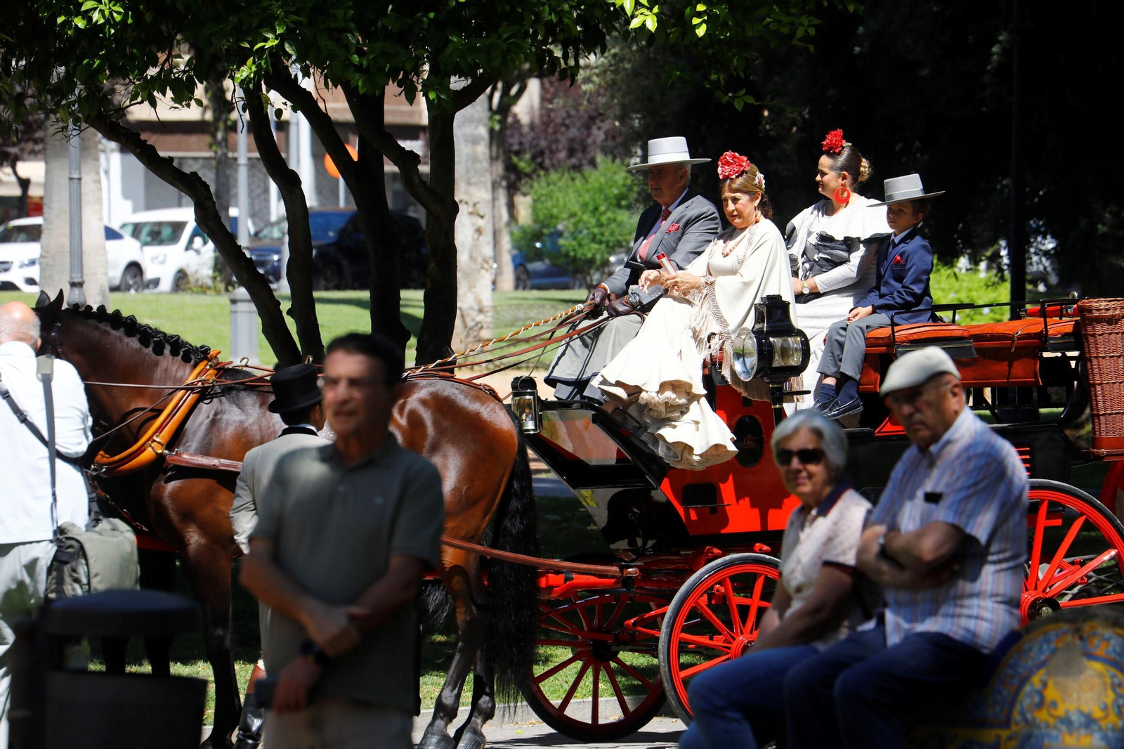 La exhibición de carruajes de tradición Nuestra Señora de la Salud, en imágenes
