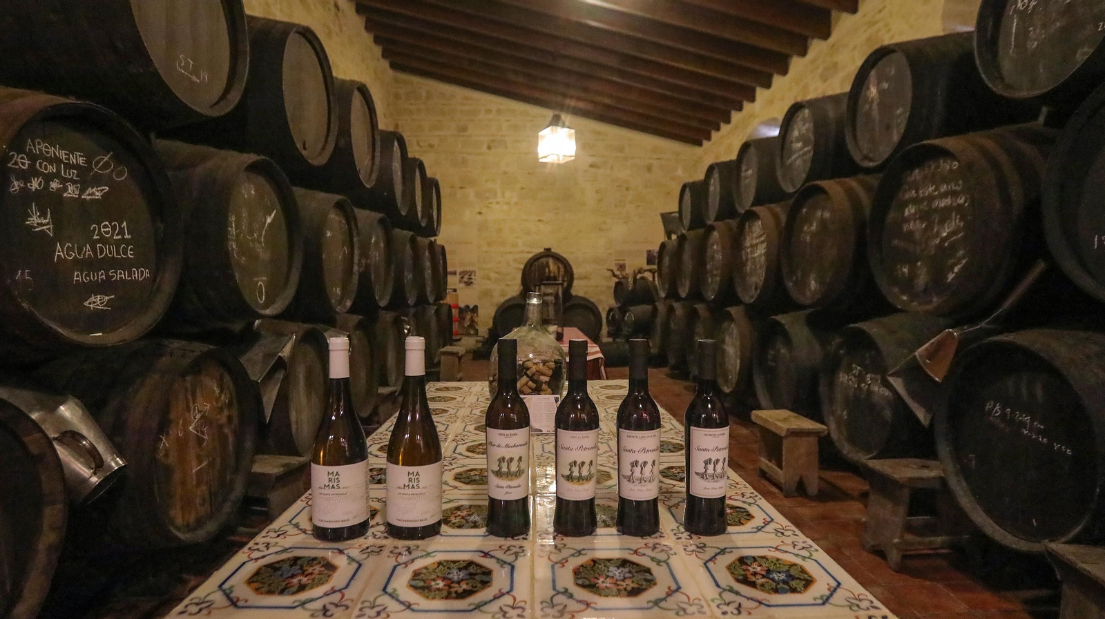 Cata vertical en Santa Petronila