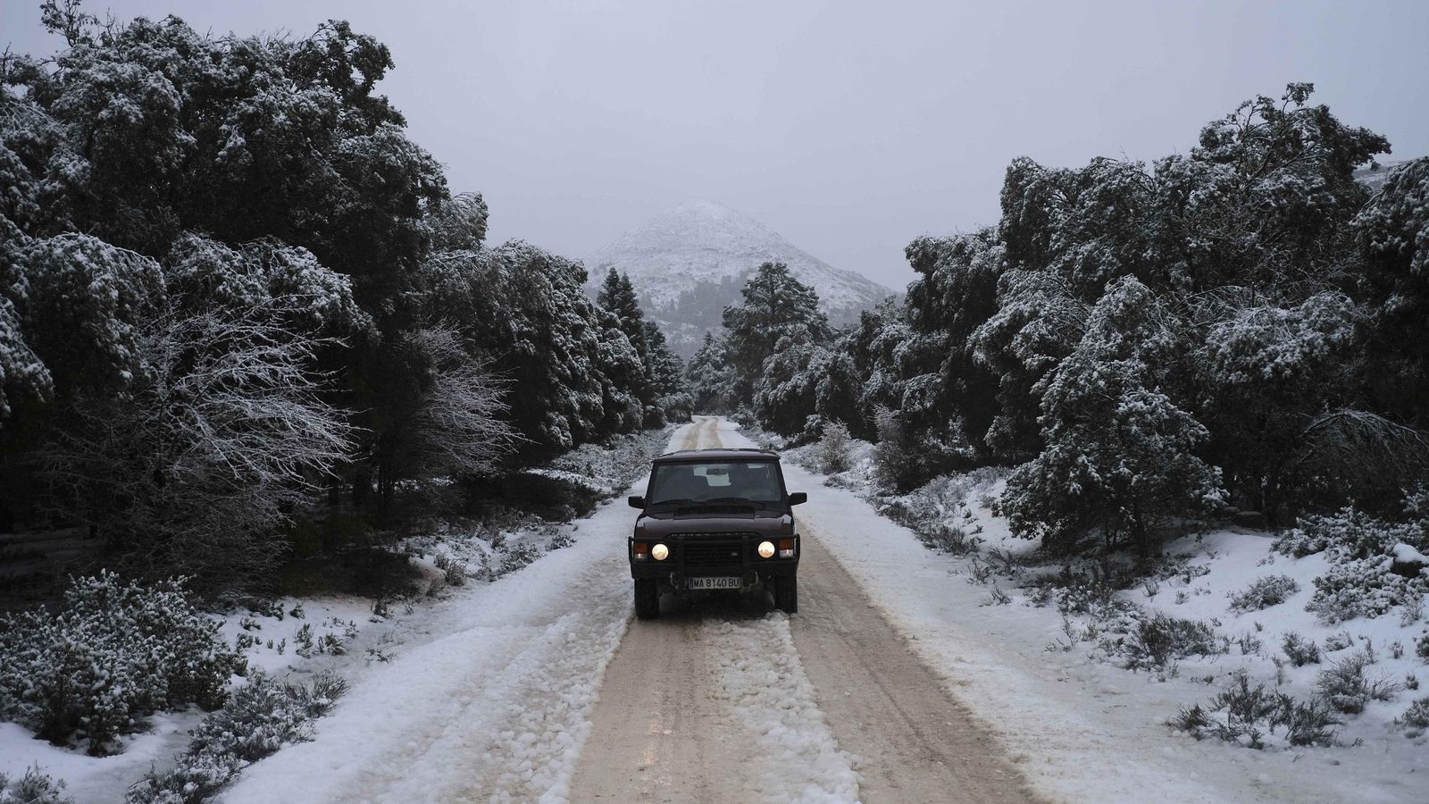 Imagen de la última nevada en el Parque Nacional Imagen de la última nevada en el Parque Nacional