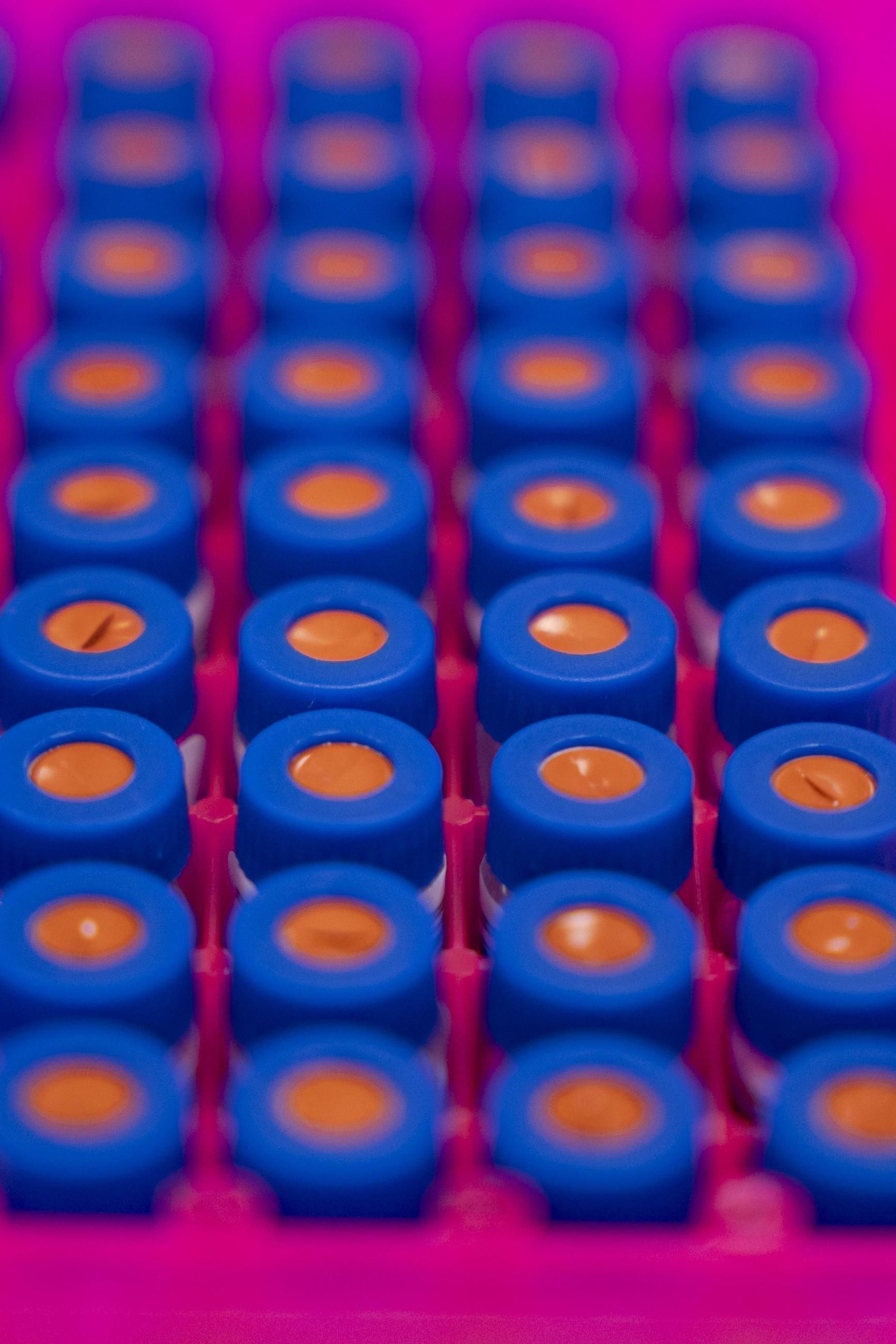 CIT COEX abre sus puertas al futuro: innovación, conocimiento y territorio