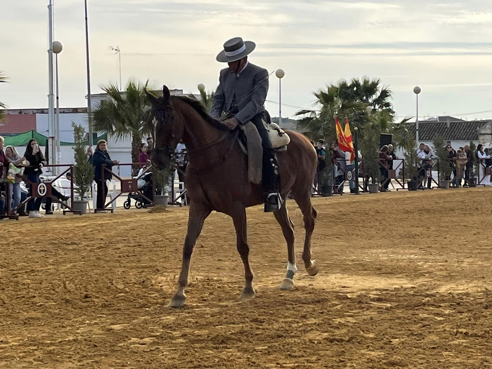 La exhibición ecuestre Caballos de Nuestra Tierra de Bujalance, en imágenes