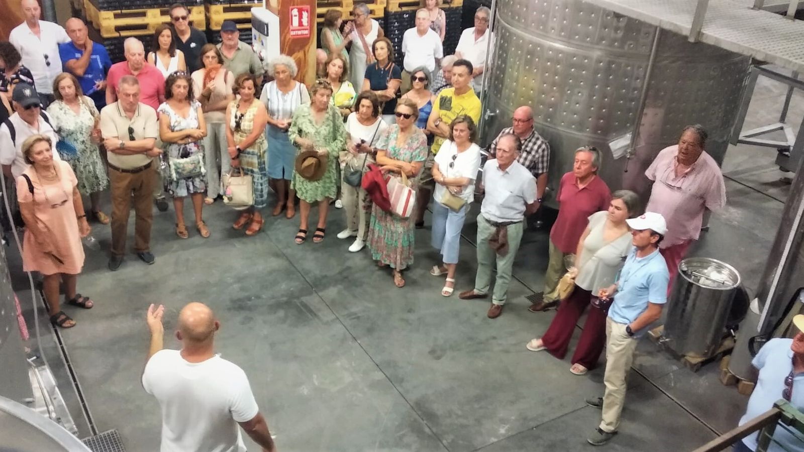 El interior de las Bodegas Campestral.