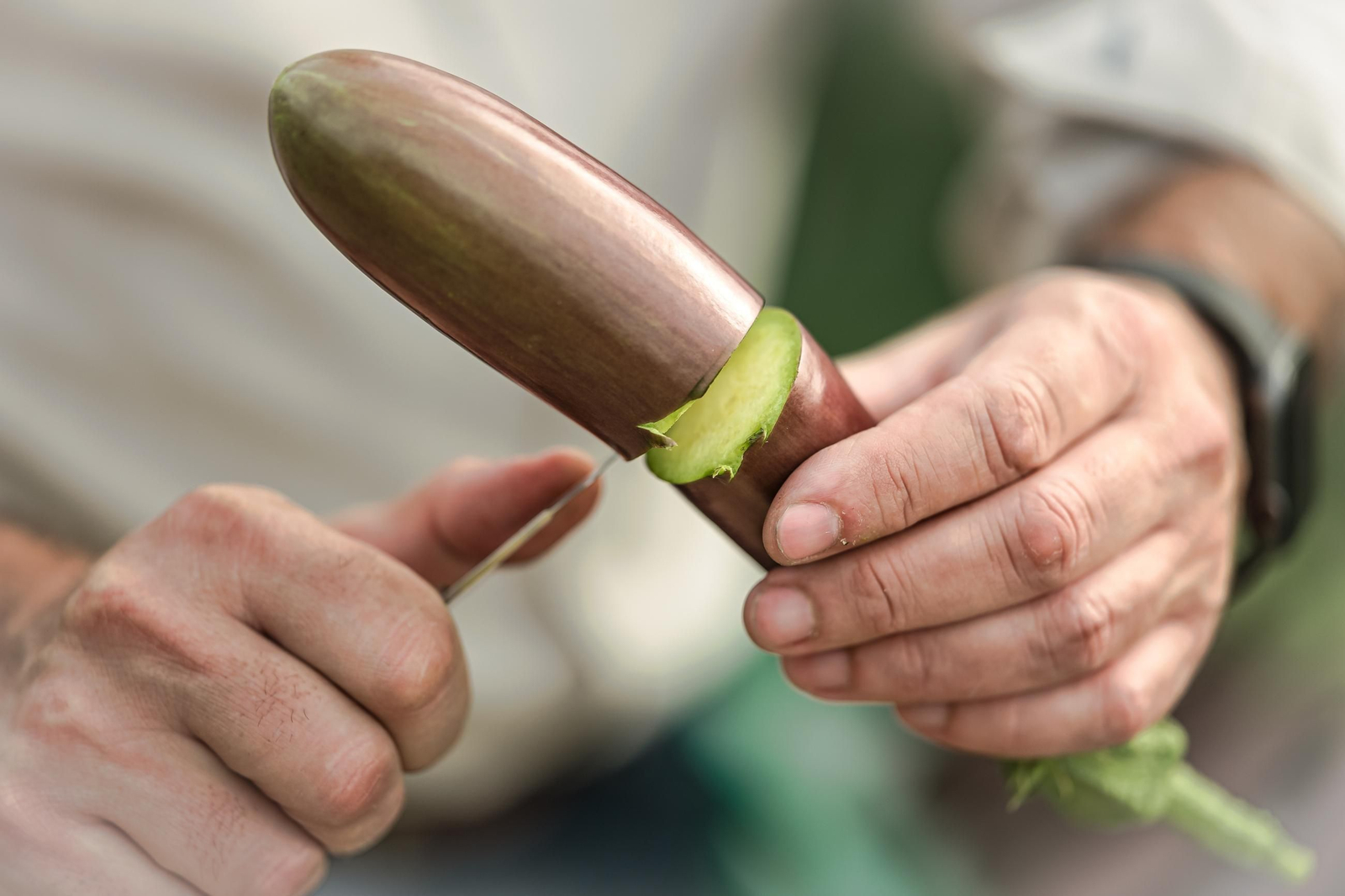 La berenjena Bechoc como ejemplo de innovación en forma, color y sabor.