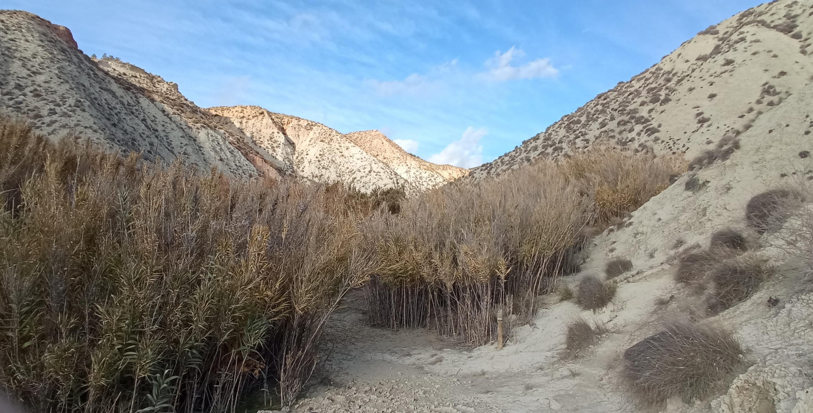 Las imágenes de la ruta Hinojares - Cuenca - Hinojares