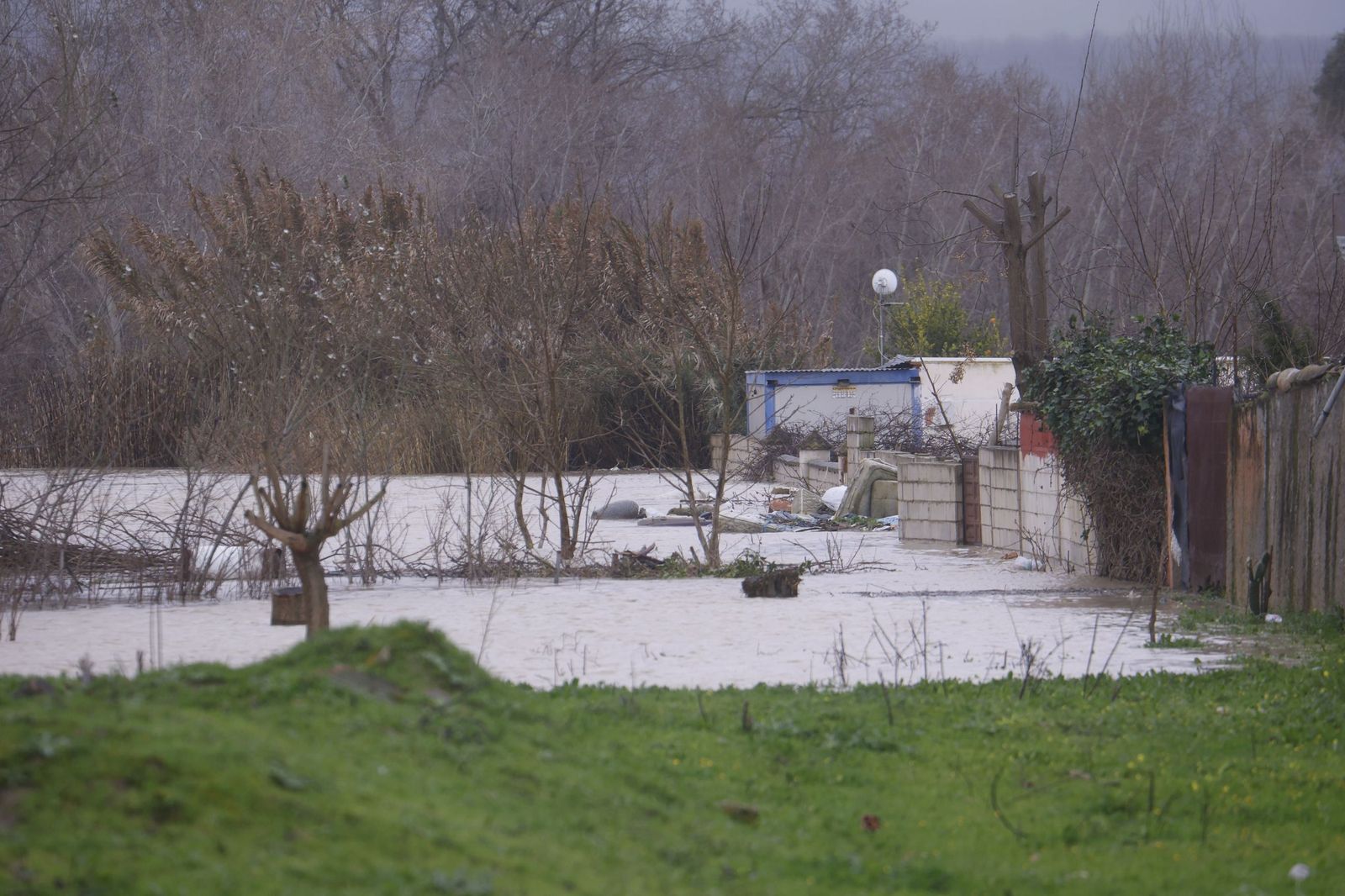 Los vecinos de Guadalvalle desalojan sus parcelas por la crecida del Guadalquivir, en imágenes