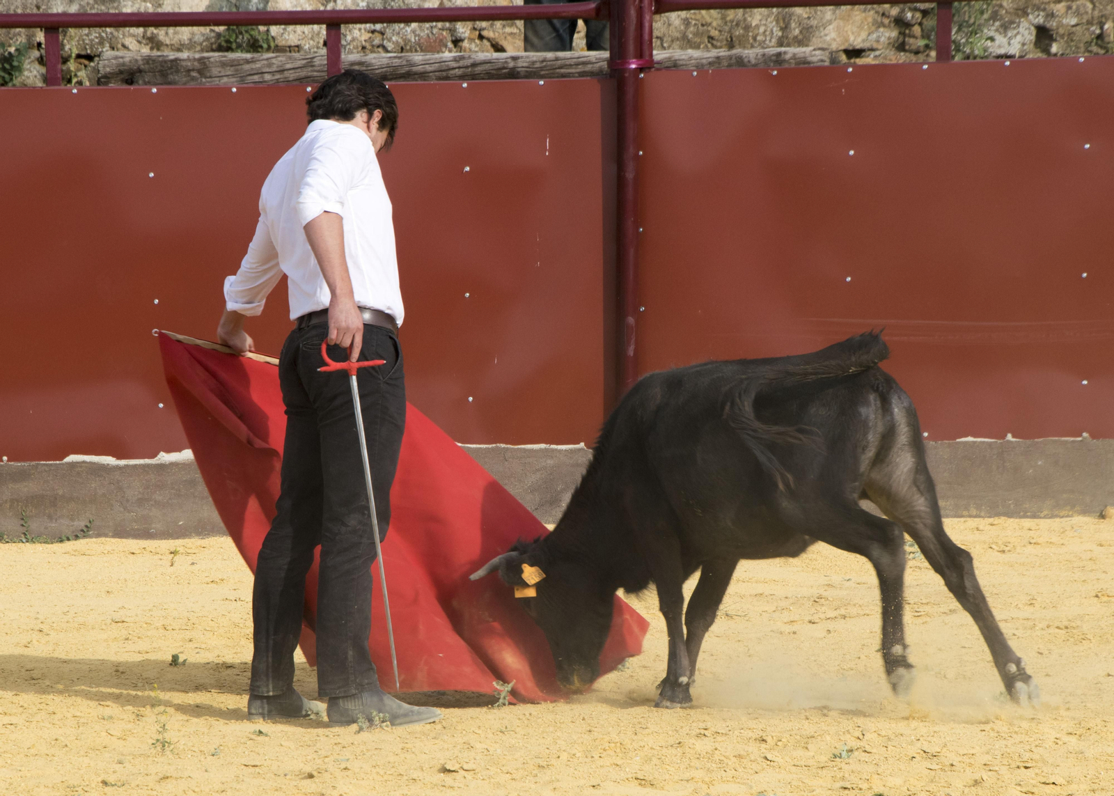 Finito de Córdoba, en un tentadero en la Sierra, en imágenes