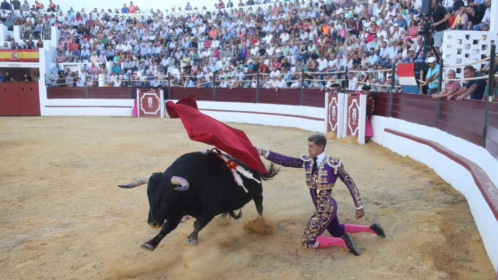 Manuel Escribano recibe de rodillas al primero de su lote. Manuel Escribano recibe de rodillas al primero de su lote.