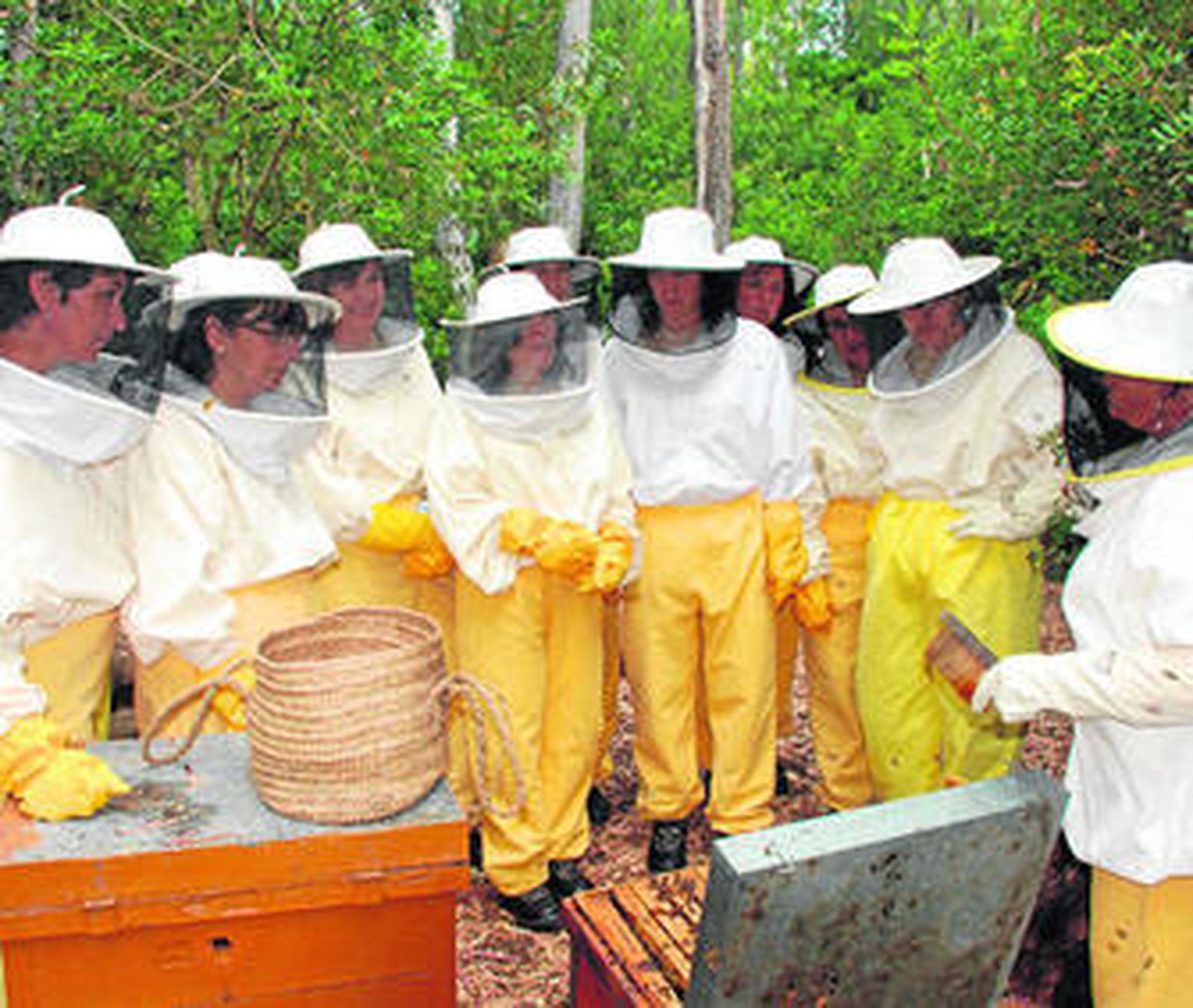 En España hay 5.543 apicultores que se dedican a la actividad de manera profesional.