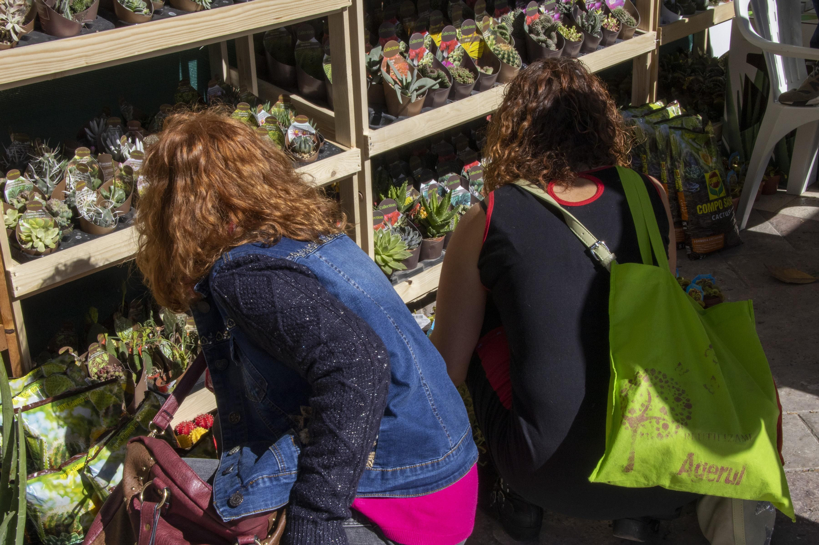 Las mejores imágenes de la Muestra de Primavera en Plaza de las Monjas, Huelva