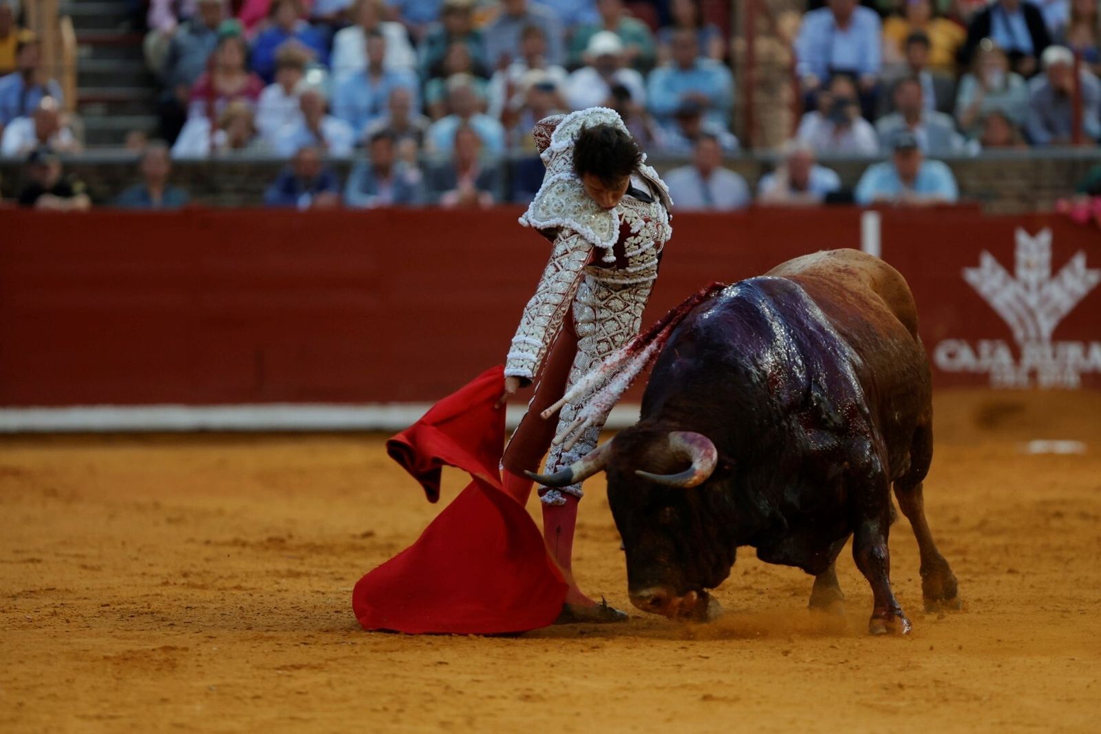 Las mejores fotos de la corrida de Morante, Ortega y Roca Rey en la Feria Taurina de Córdoba