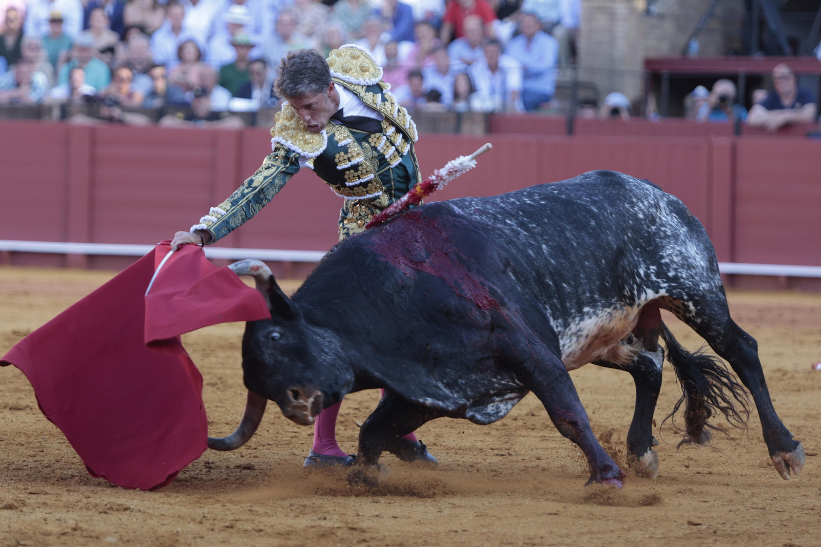 'Choricero', que así se llamaba el cuarto de Miura, hace el avión tras la muleta de Manuel Escribano, quien alarga su brazo incluso más allá de donde puede.